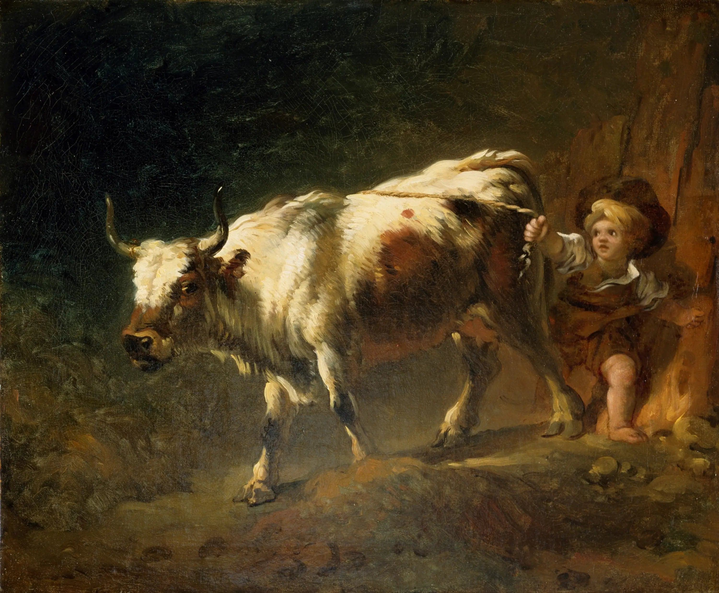 A boy tries to hold back a cow with a rope - Jean