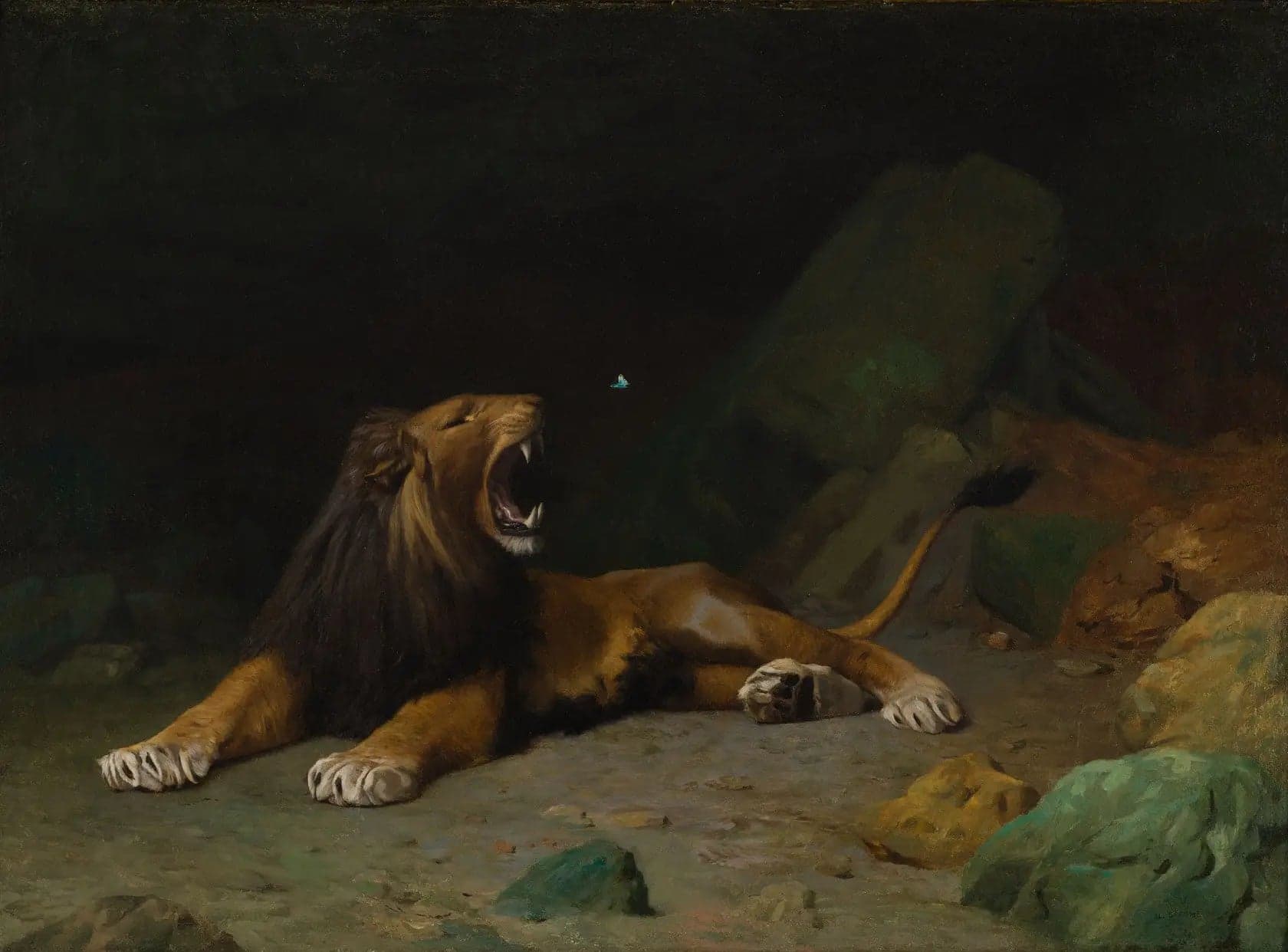 Lion trying to catch a butterfly - Jean
