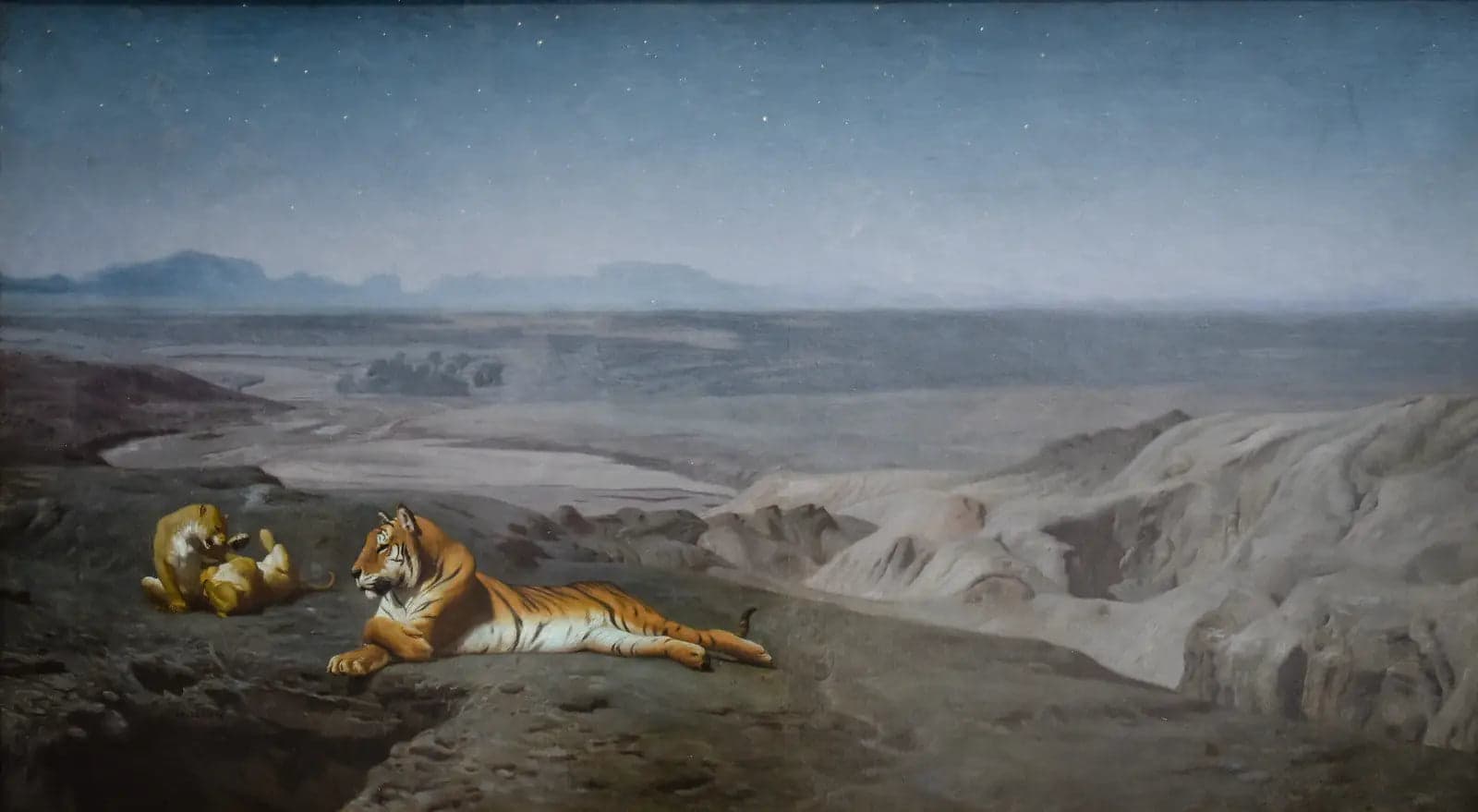 Night in the Desert - Jean