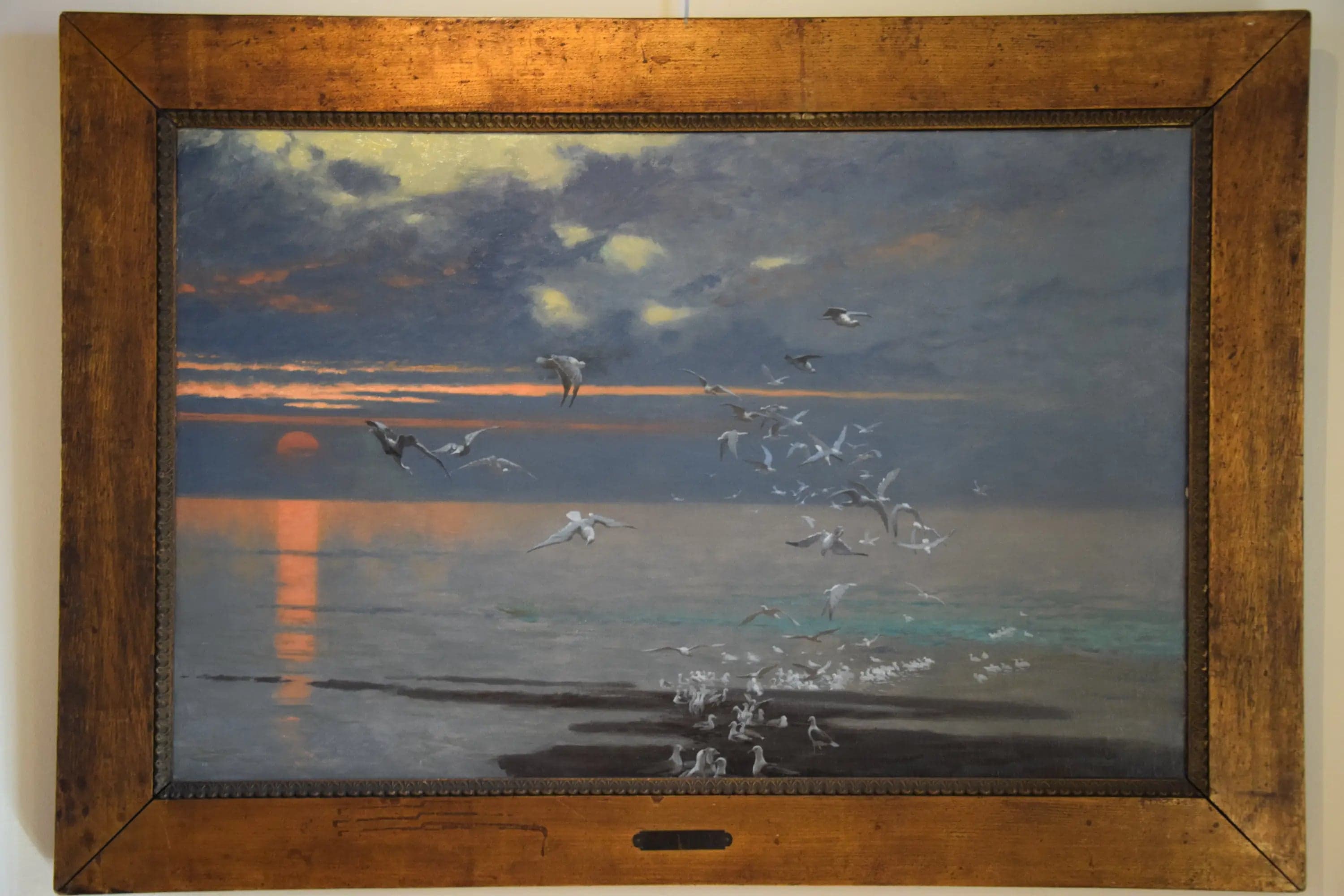 The Seagulls - Jean
