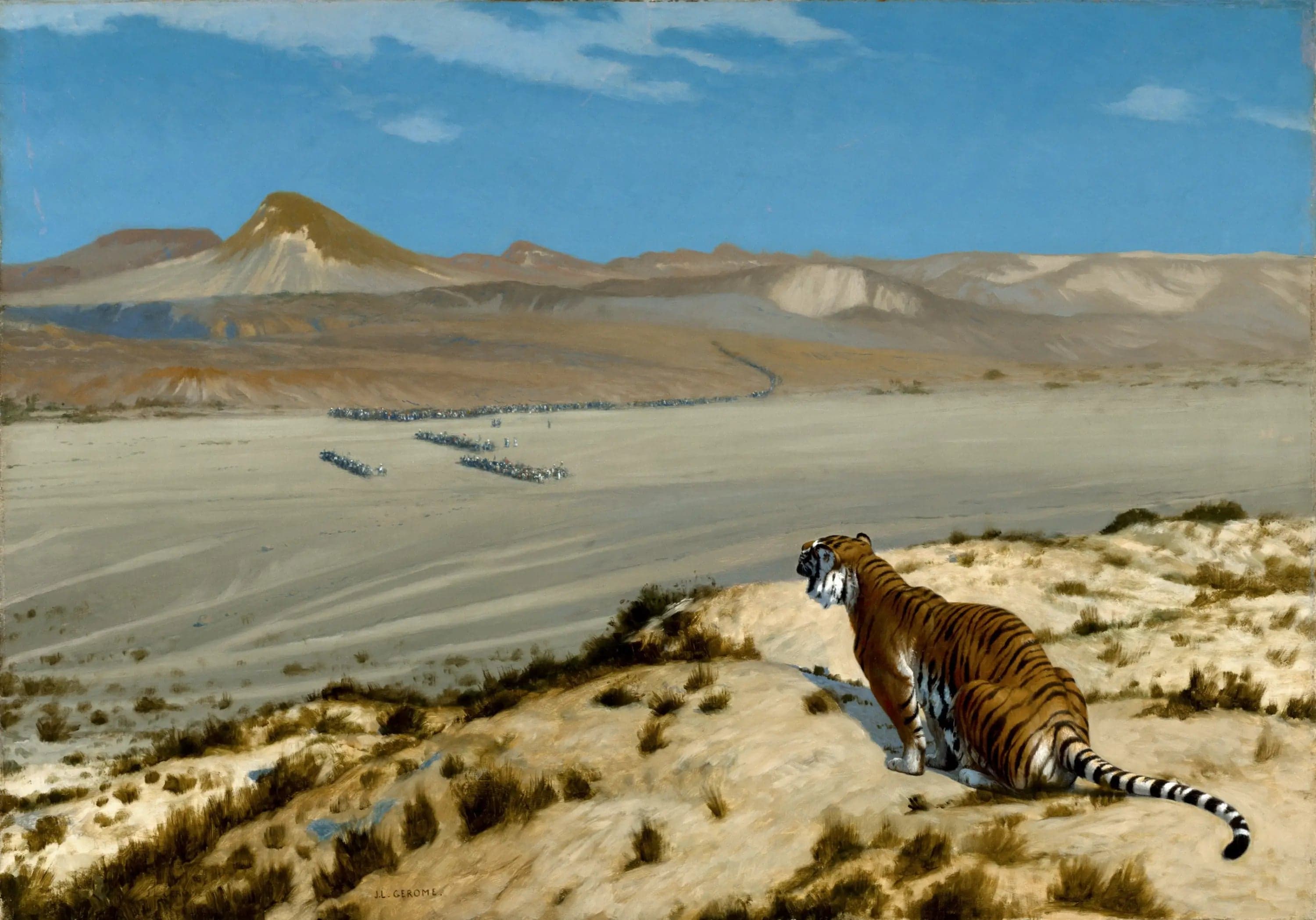 Tiger on the Prowl - Jean