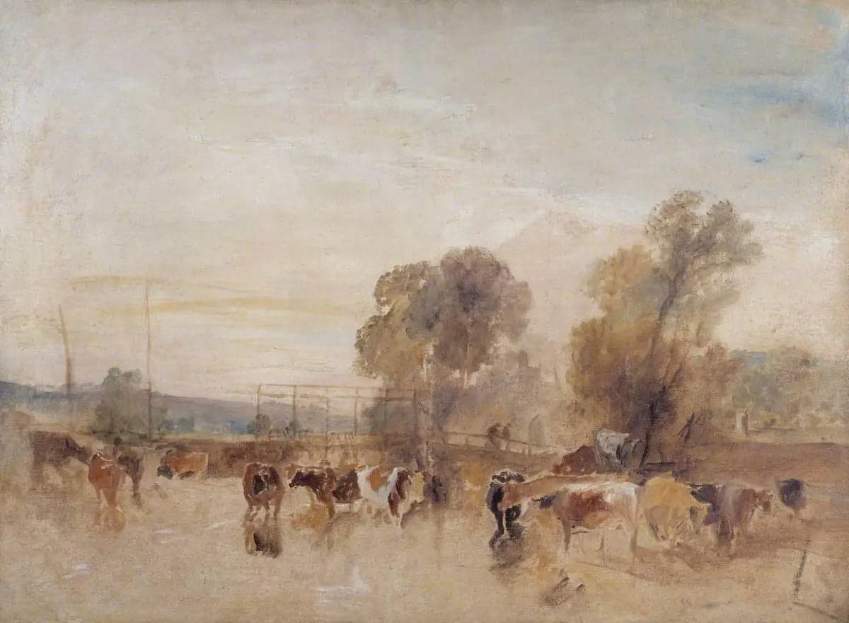 Weir and Cattle