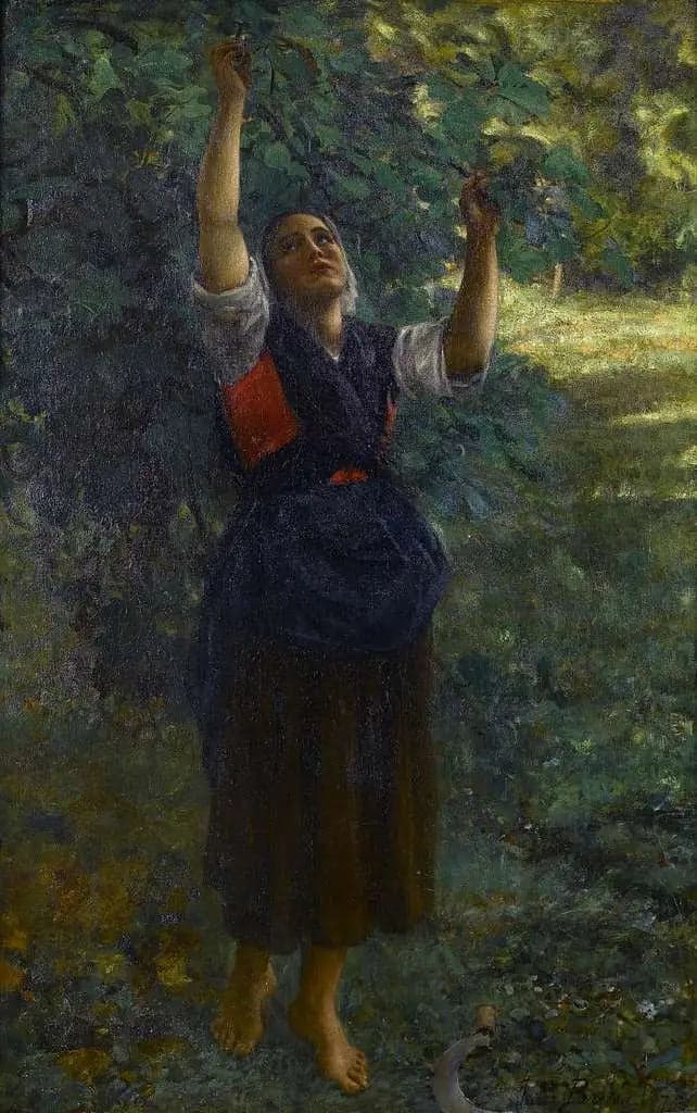 Girl Picking Figs
