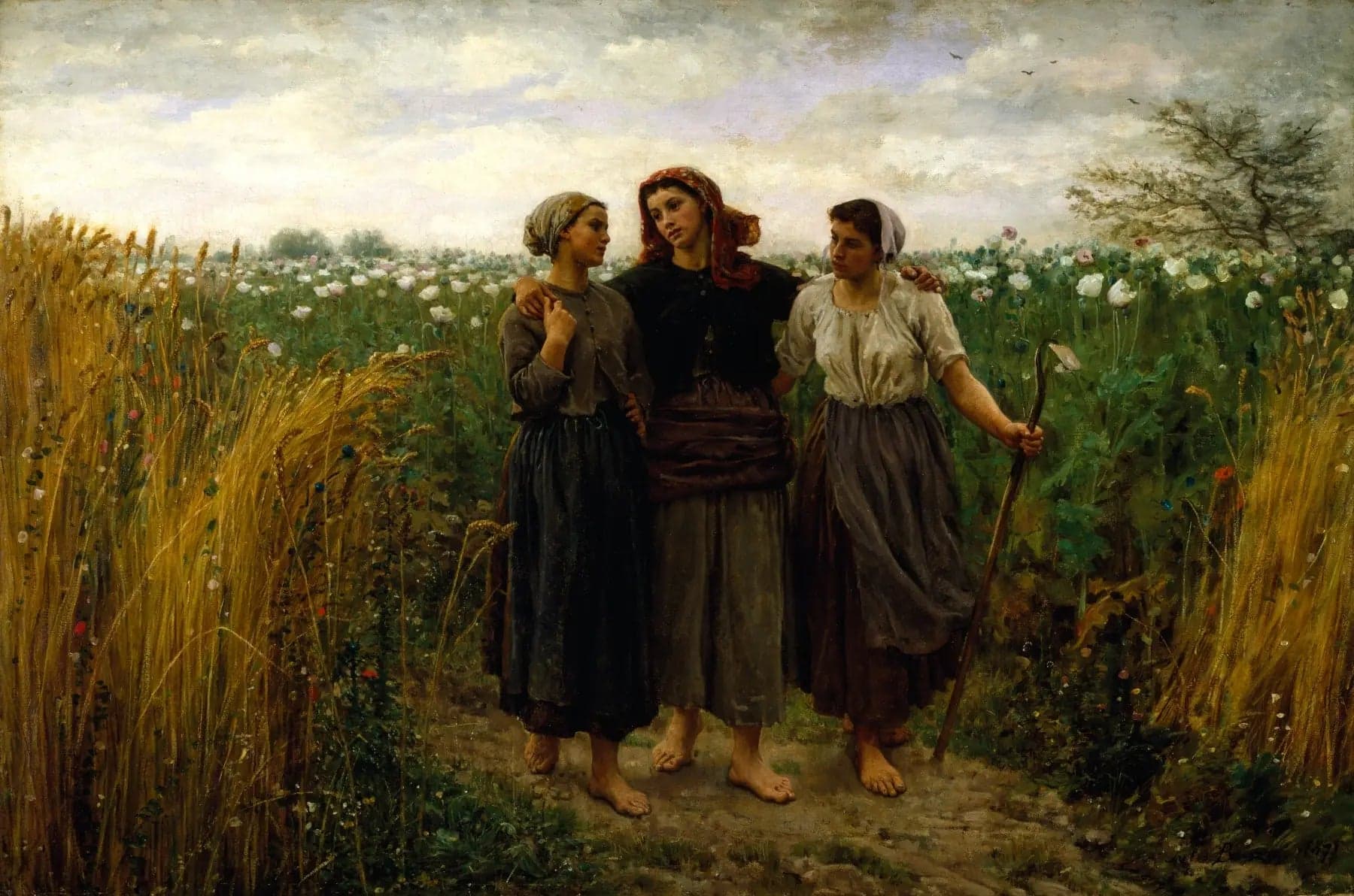 Return from the fields
