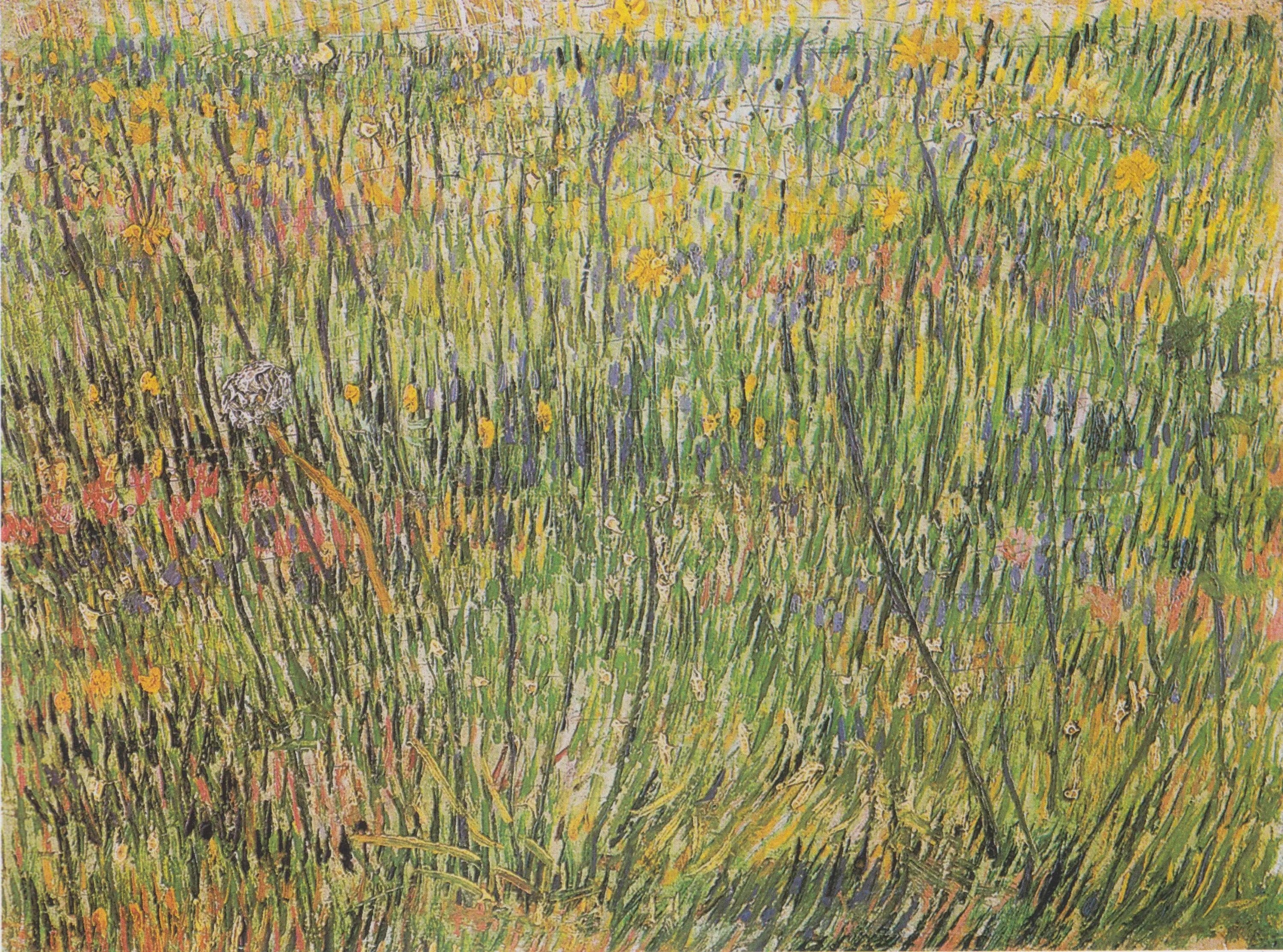 Flowering Meadow