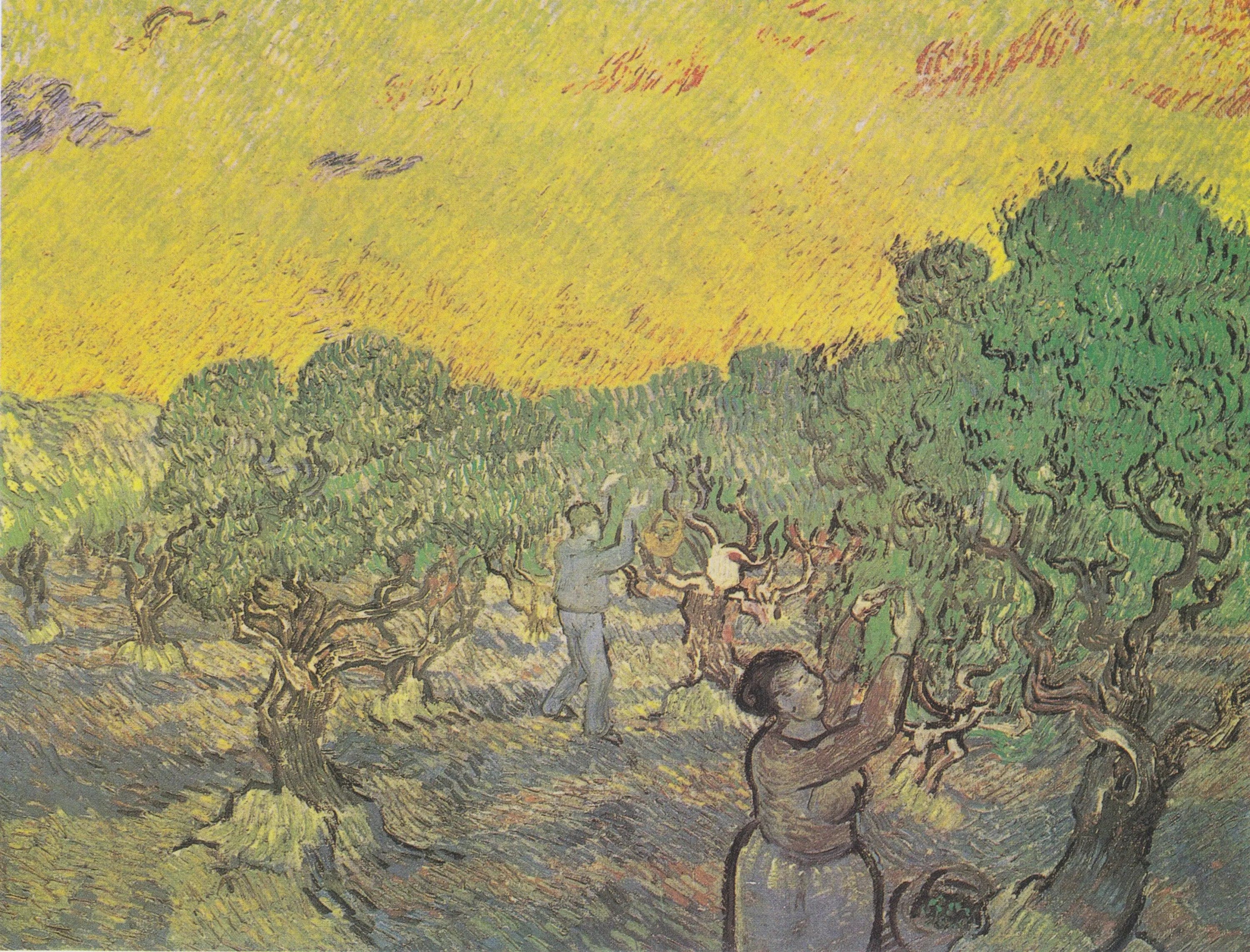 Olive Grove with Harvesting Figures