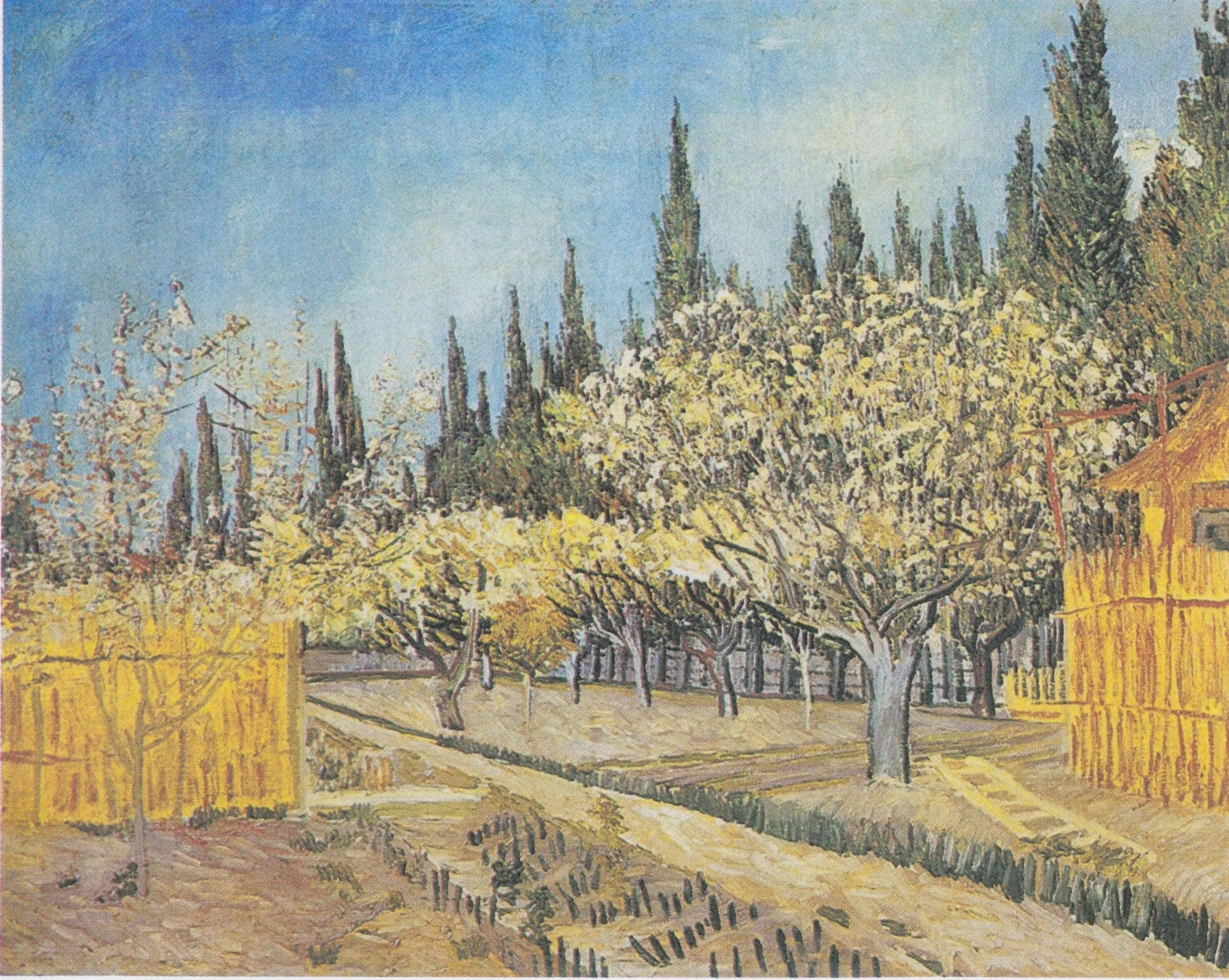 Orchard in Bloom, Lined with Cypresses
