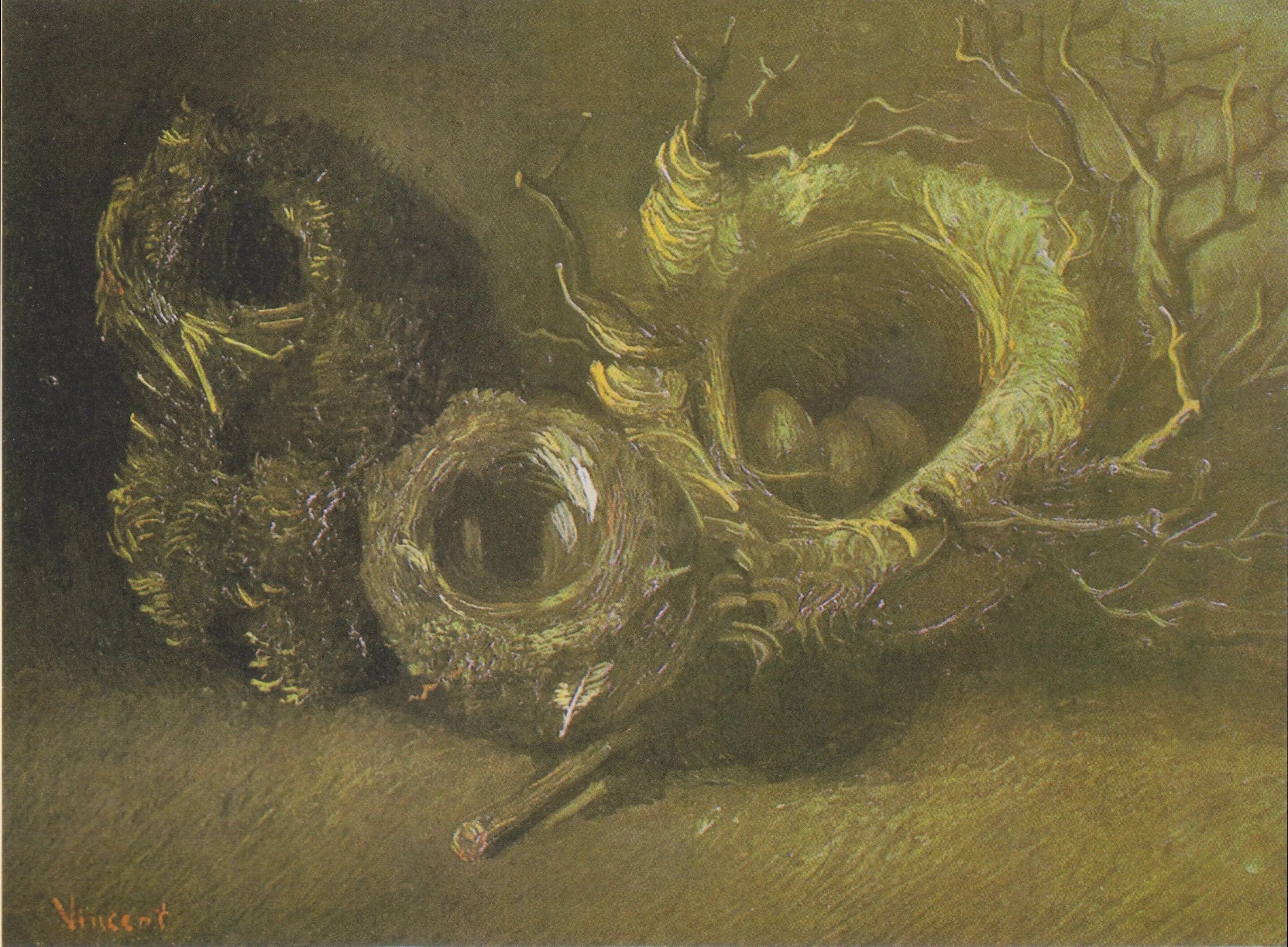 Still Life with Three Bird's Nests