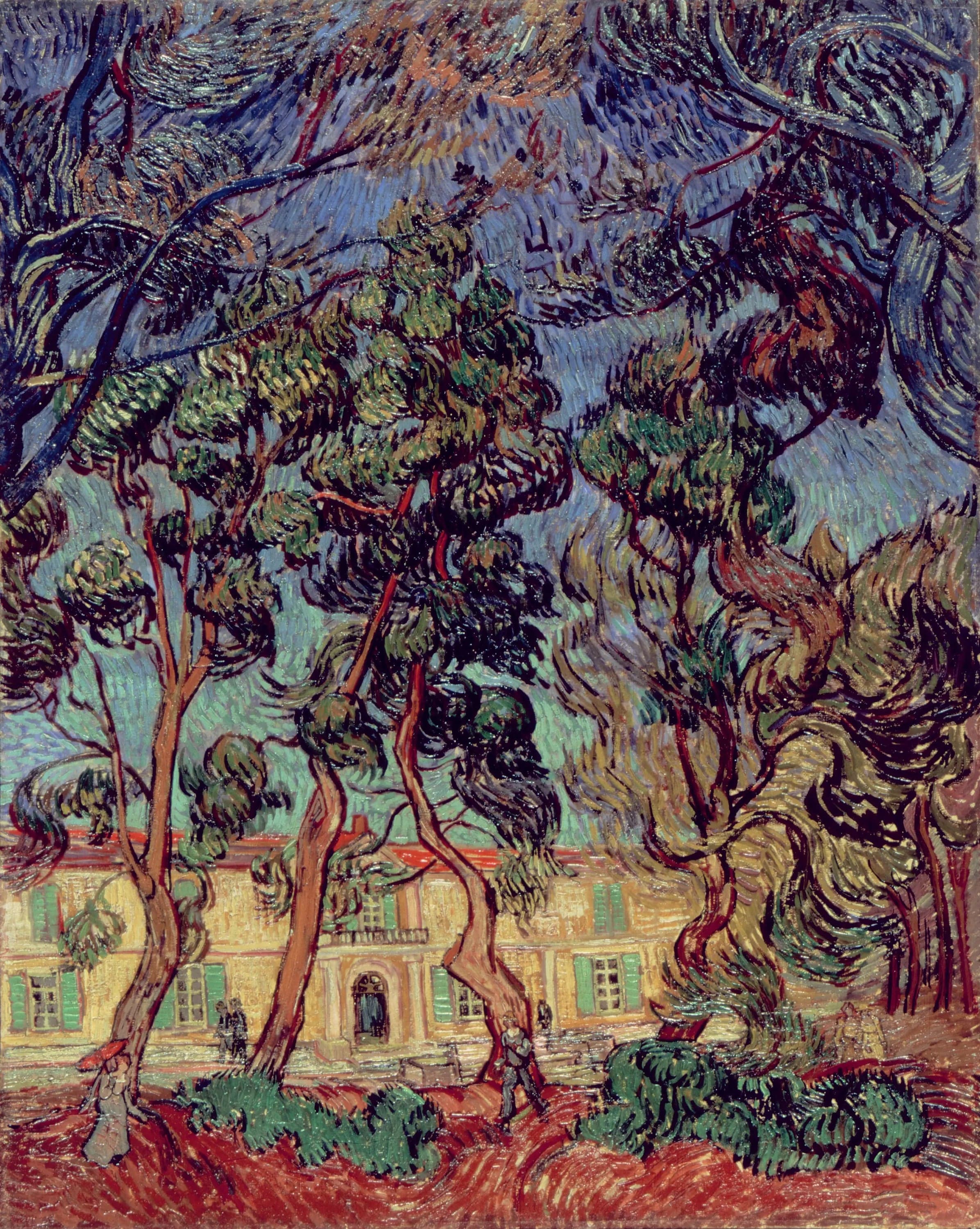 Trees in the Garden of Saint Paul Hospital