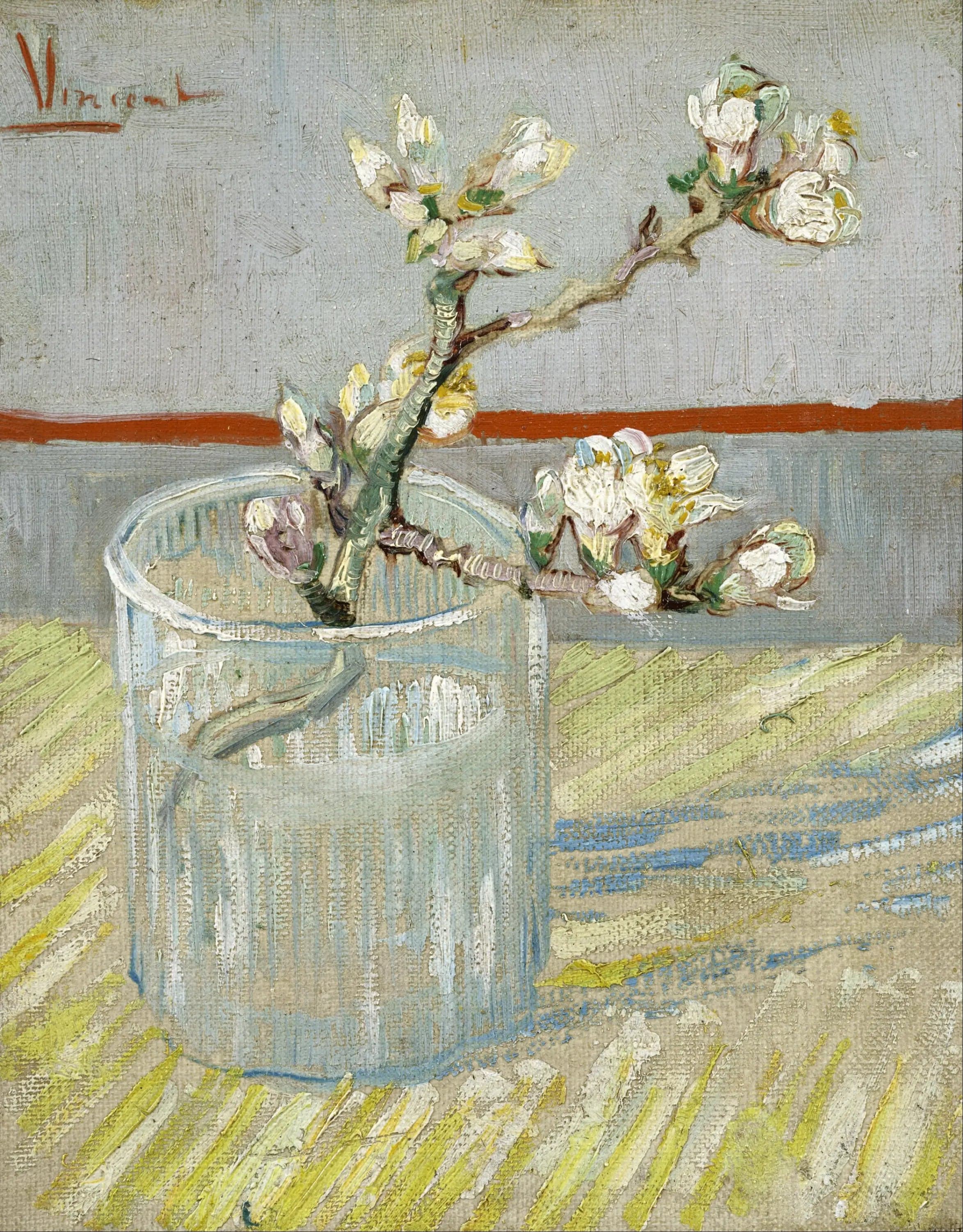 Almond Blossom Branch in a Glass