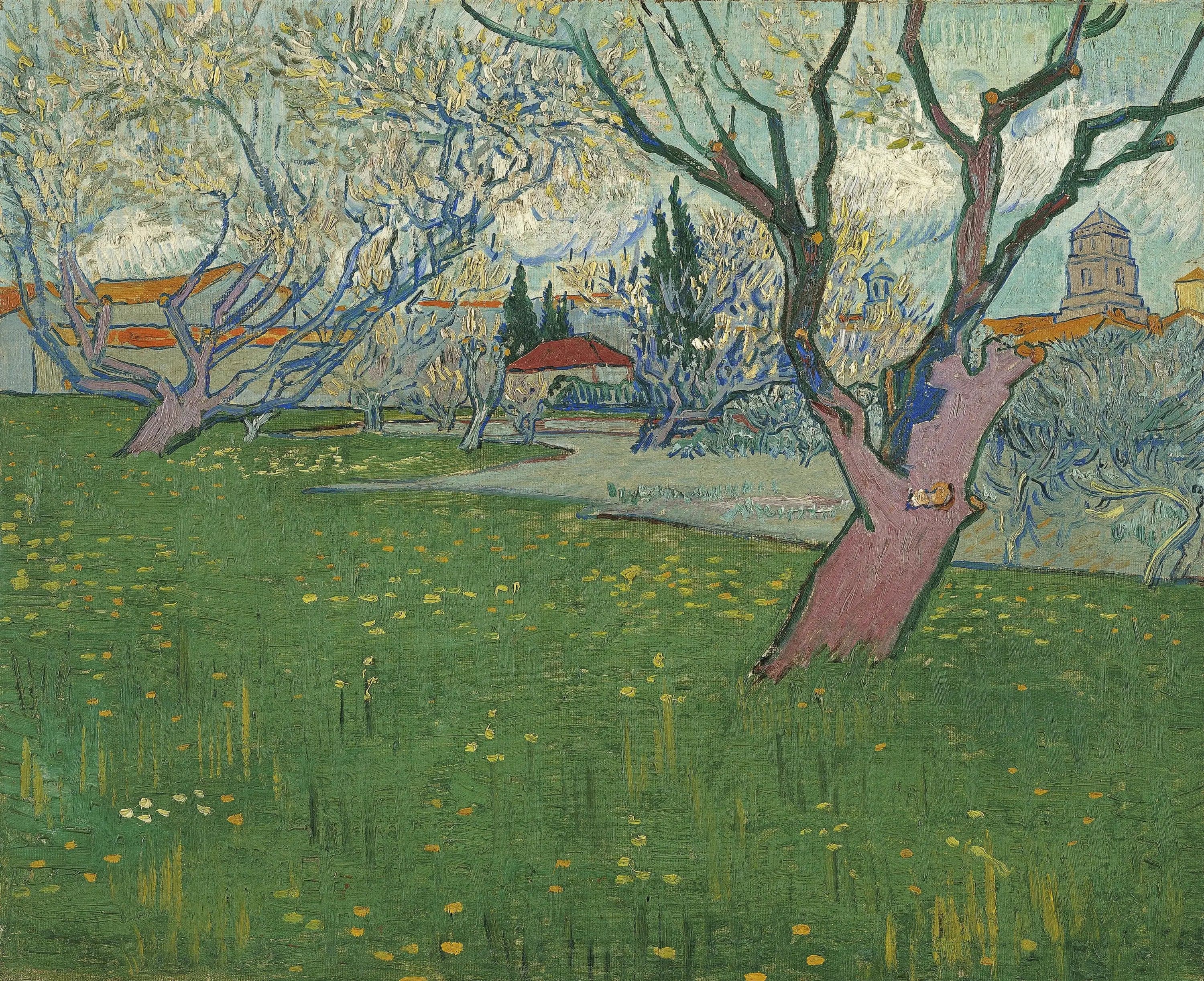 Orchards in Bloom, View of Arles