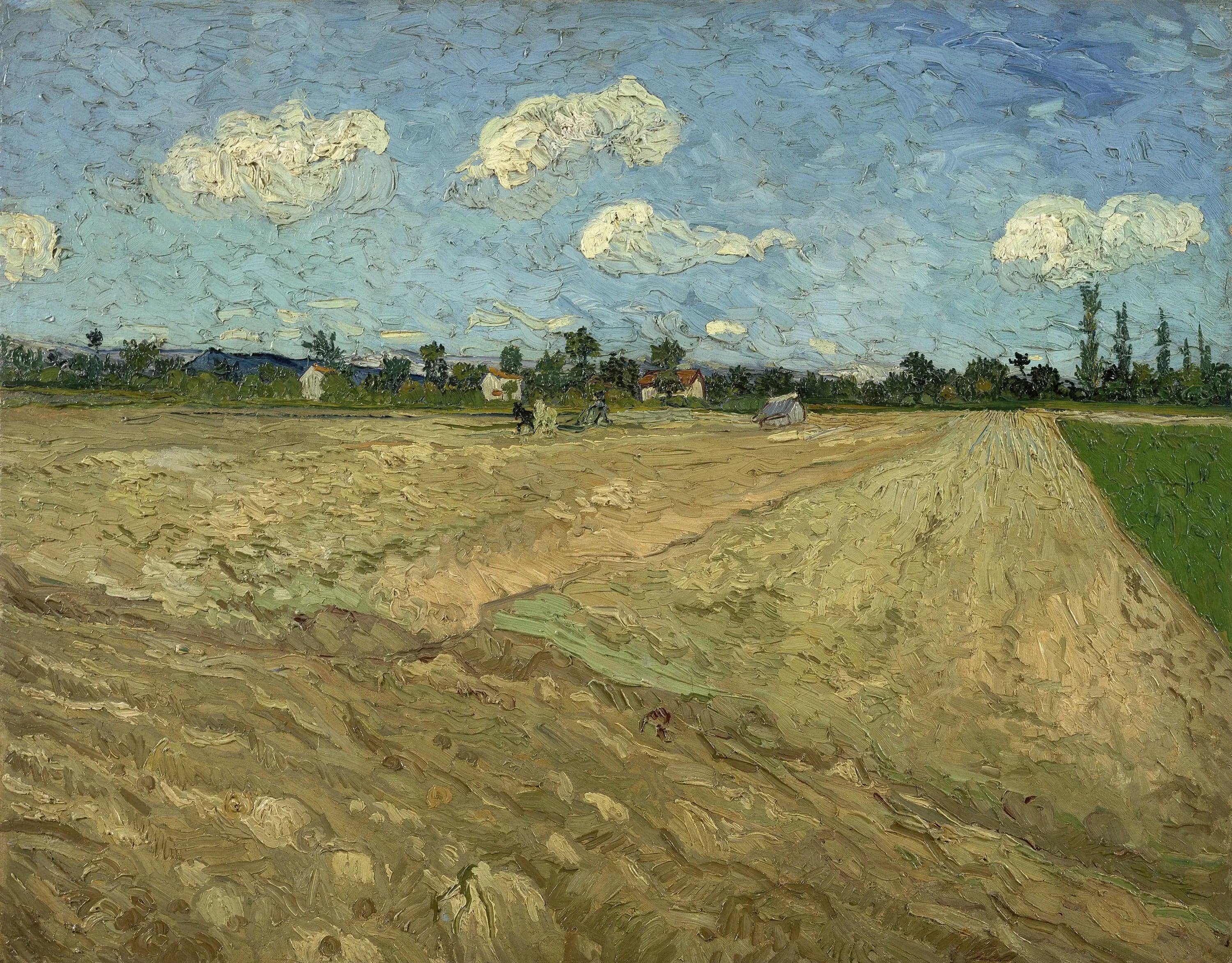 Plowed Fields