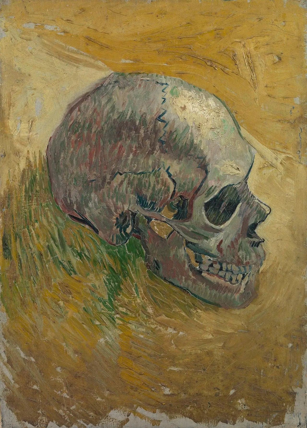 Skeleton Skull