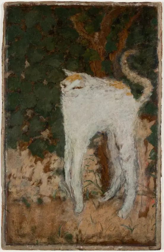 The White Cat