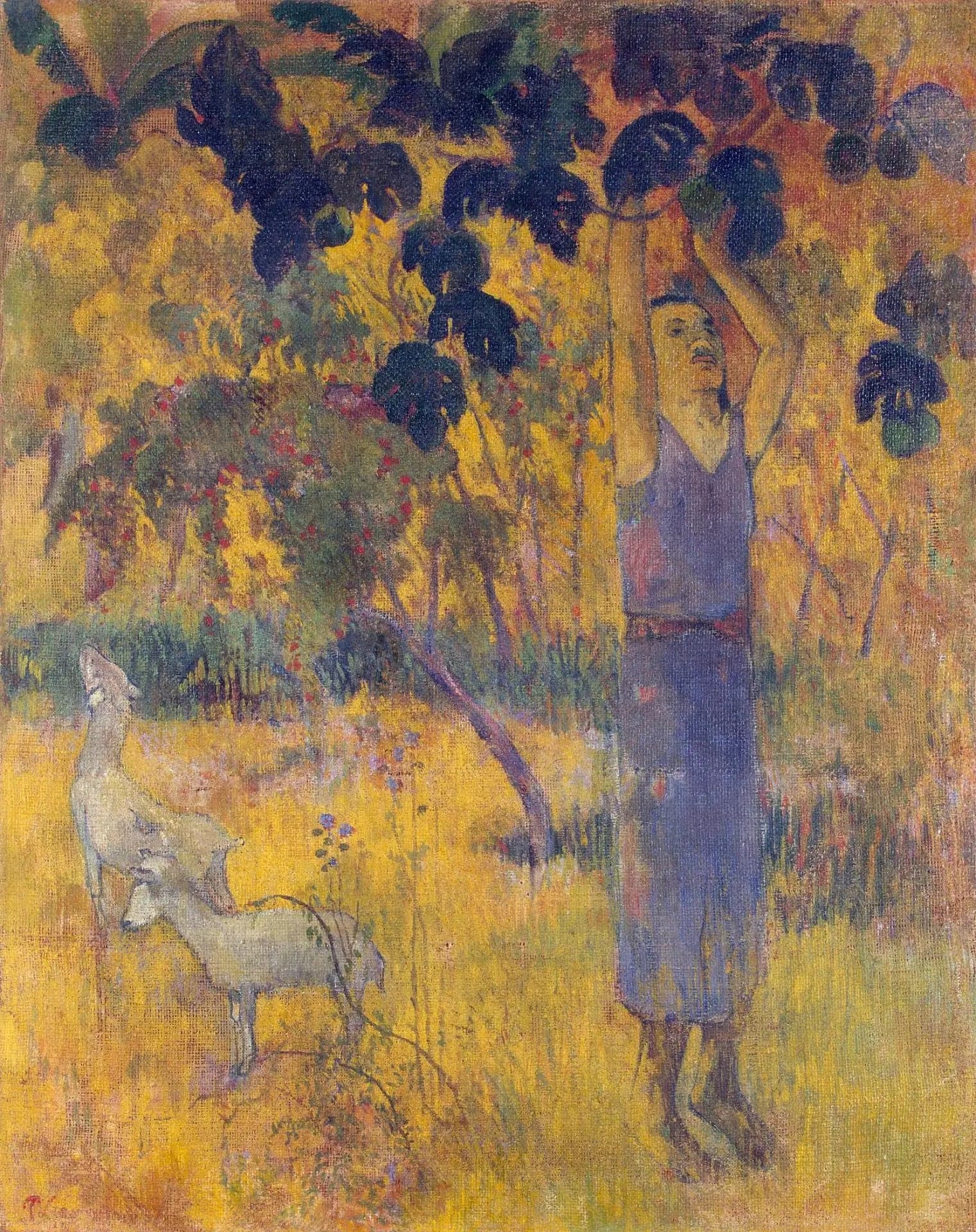 The Harvest, or Man Gathering Fruits