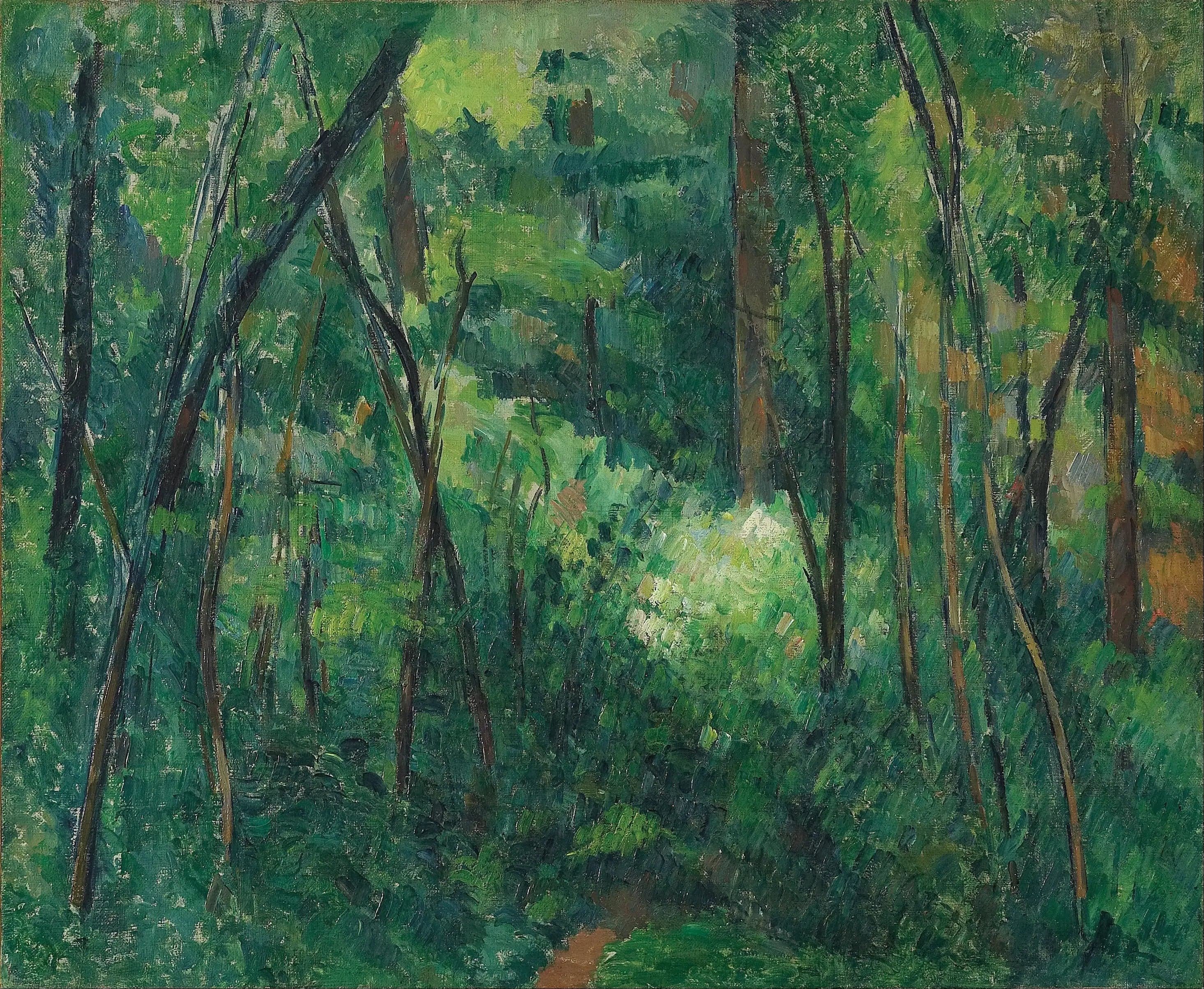 Underbrush