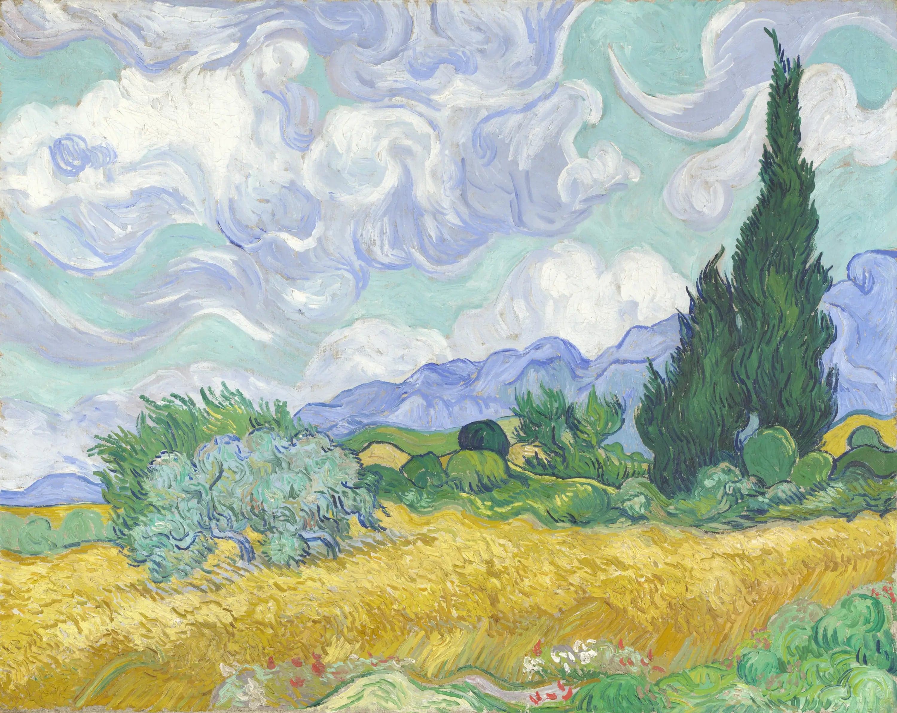 A wheat field with cypresses