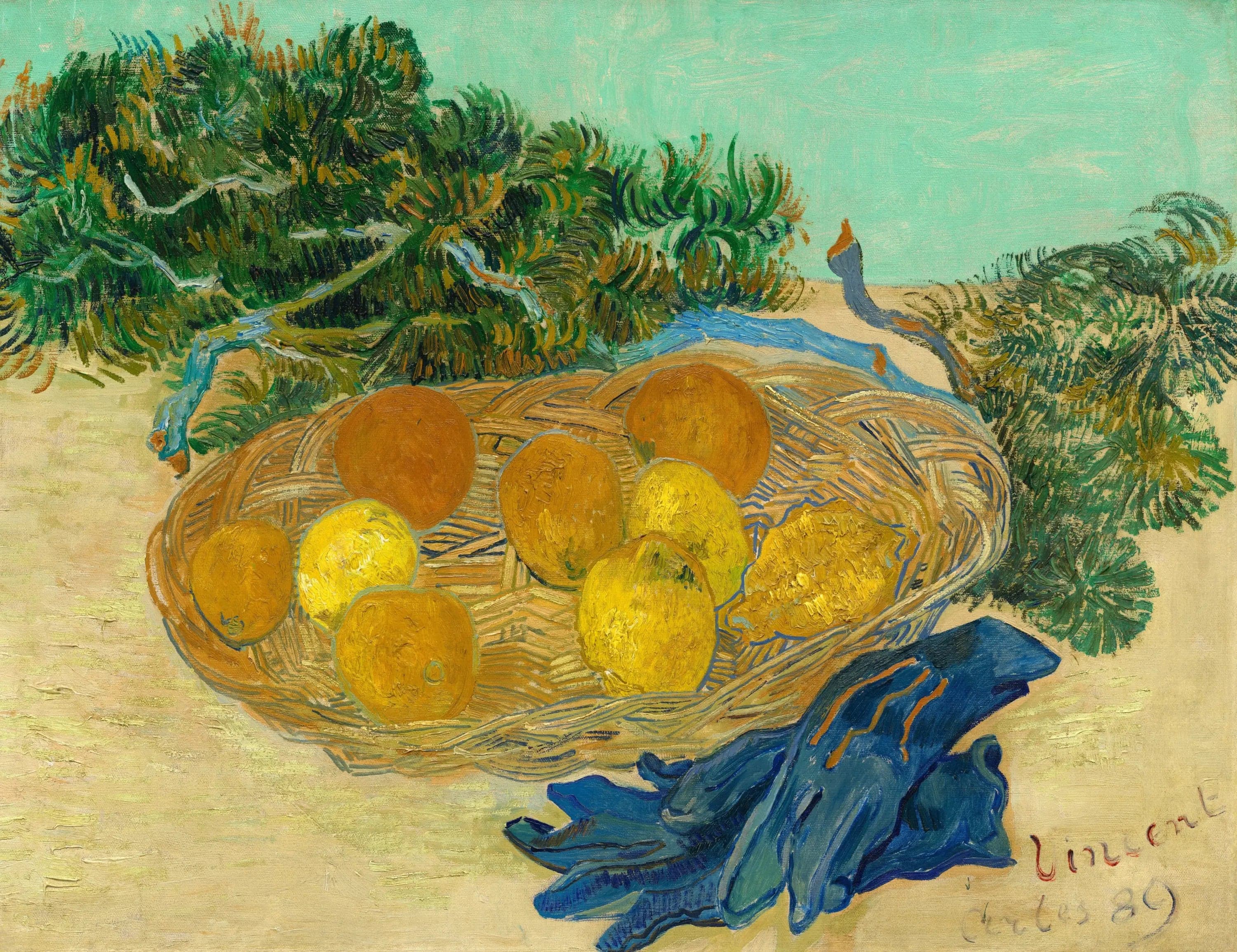 Still life of oranges and lemons with blue gloves