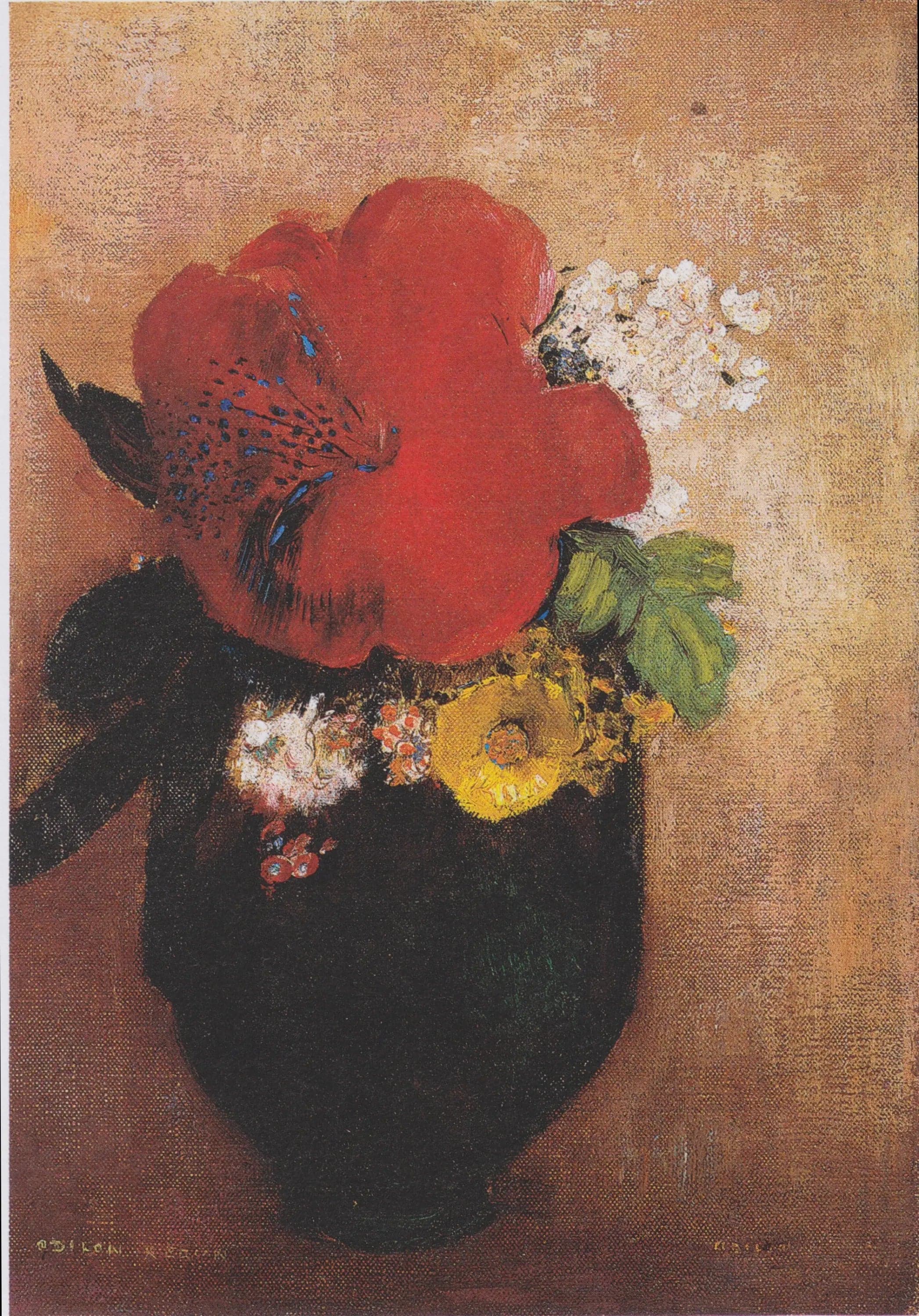 Flower Vase: le pavot rouge