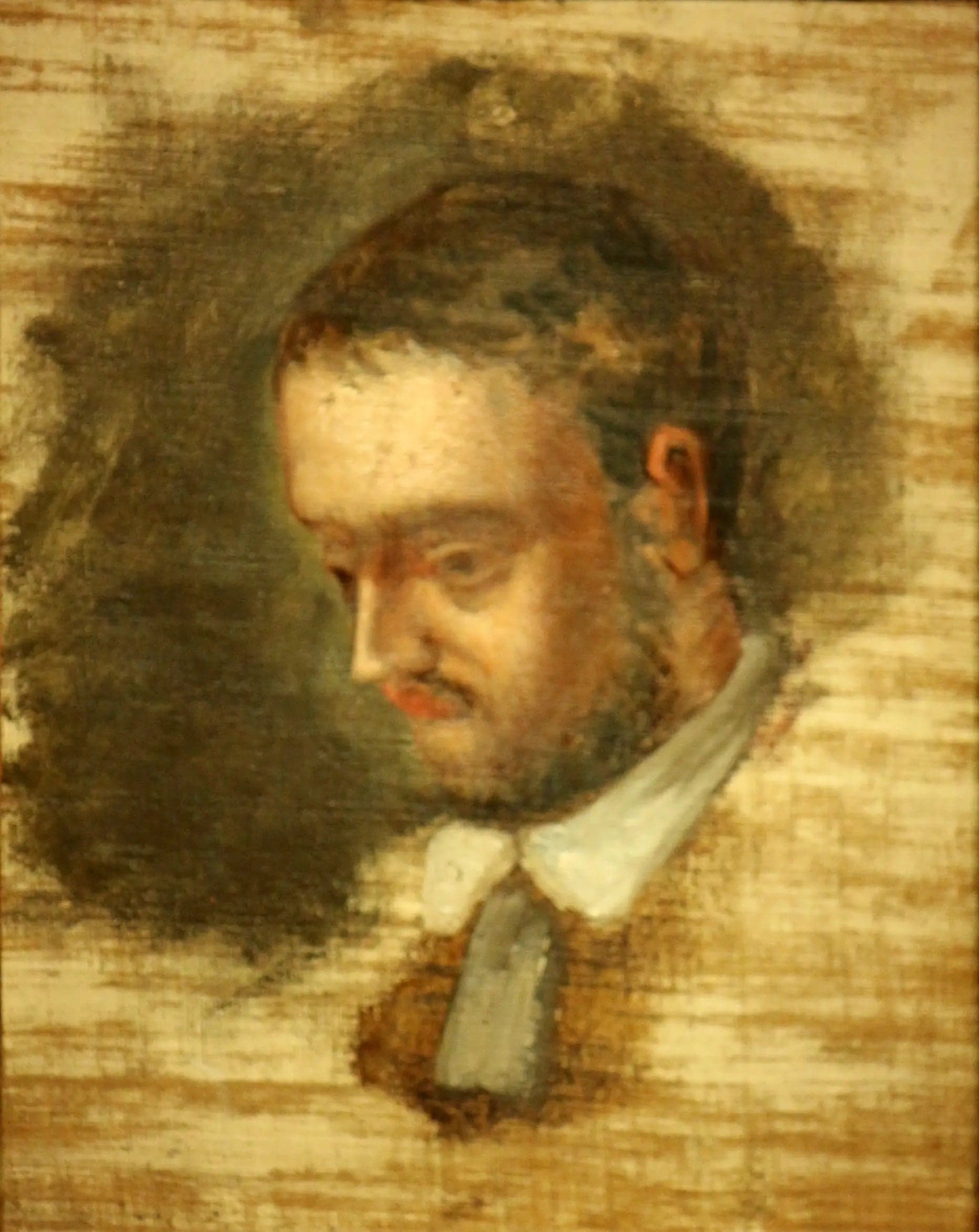 Portrait of Émile Zola
