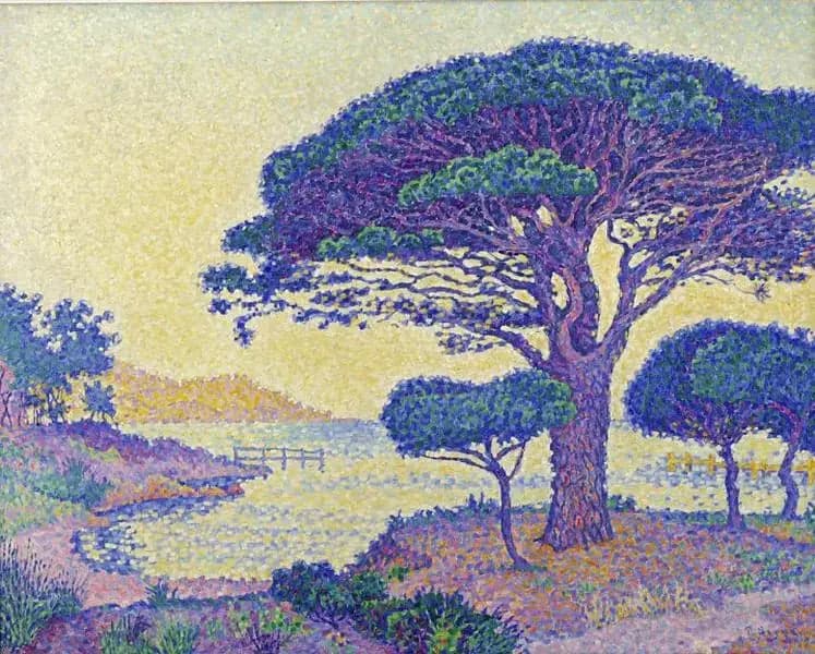 Saint-Tropez, the umbrella pines at Canoubiers