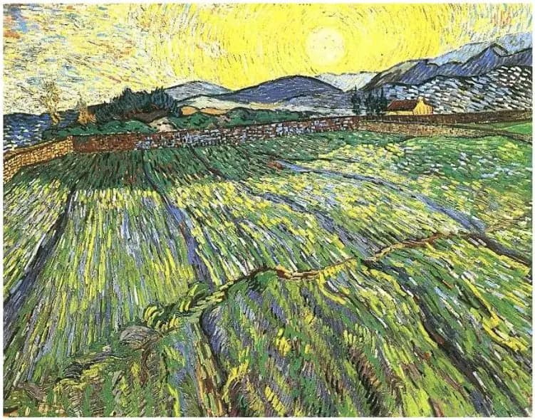 Enclosed field with rising sun
