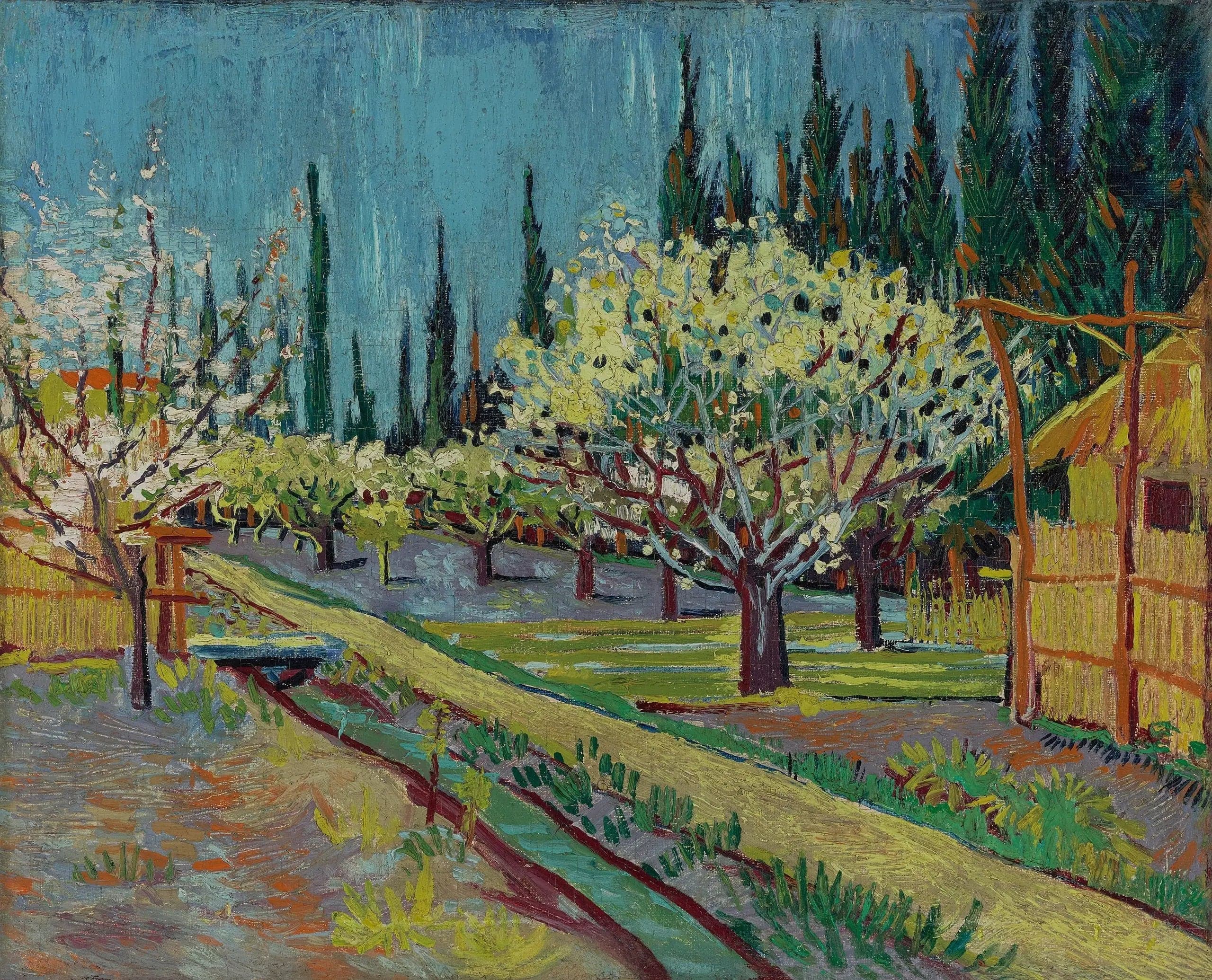 Flowering Orchard, Surrounded by Cypresses