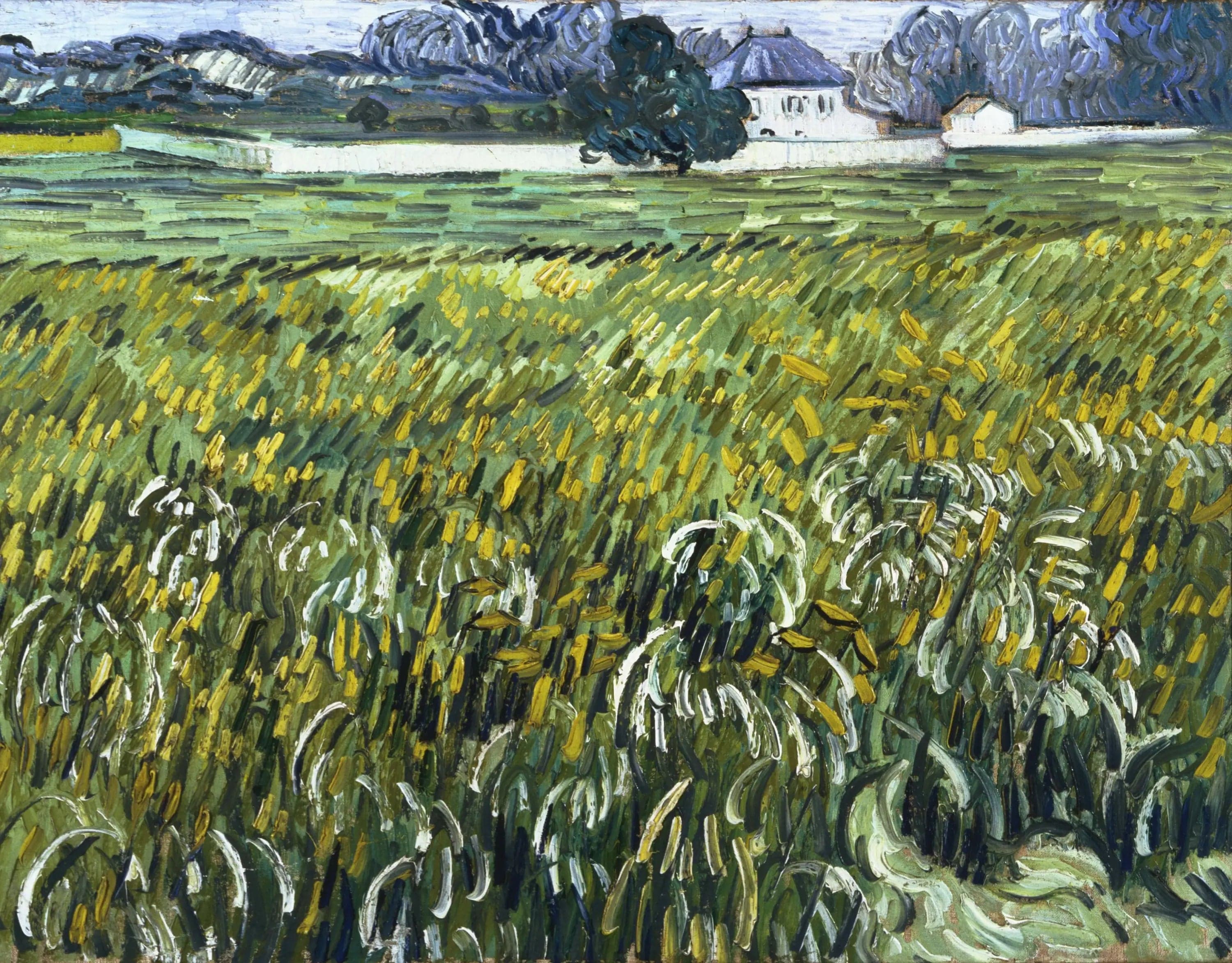 Wheat Field at Auvers with House