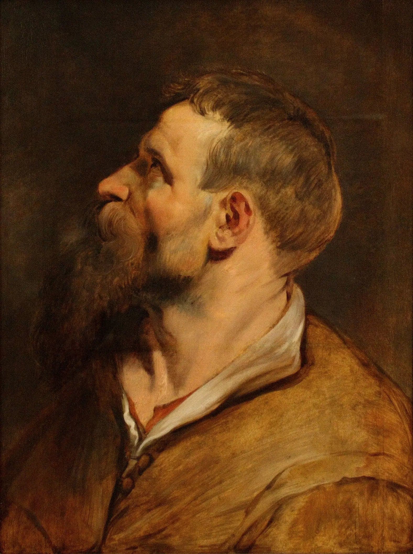 Head of a bearded man looking to the left