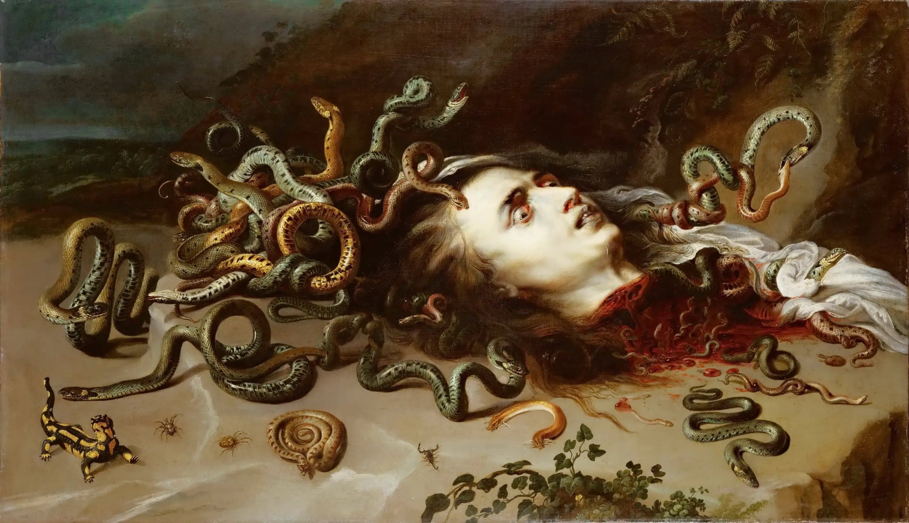 Medusa Head