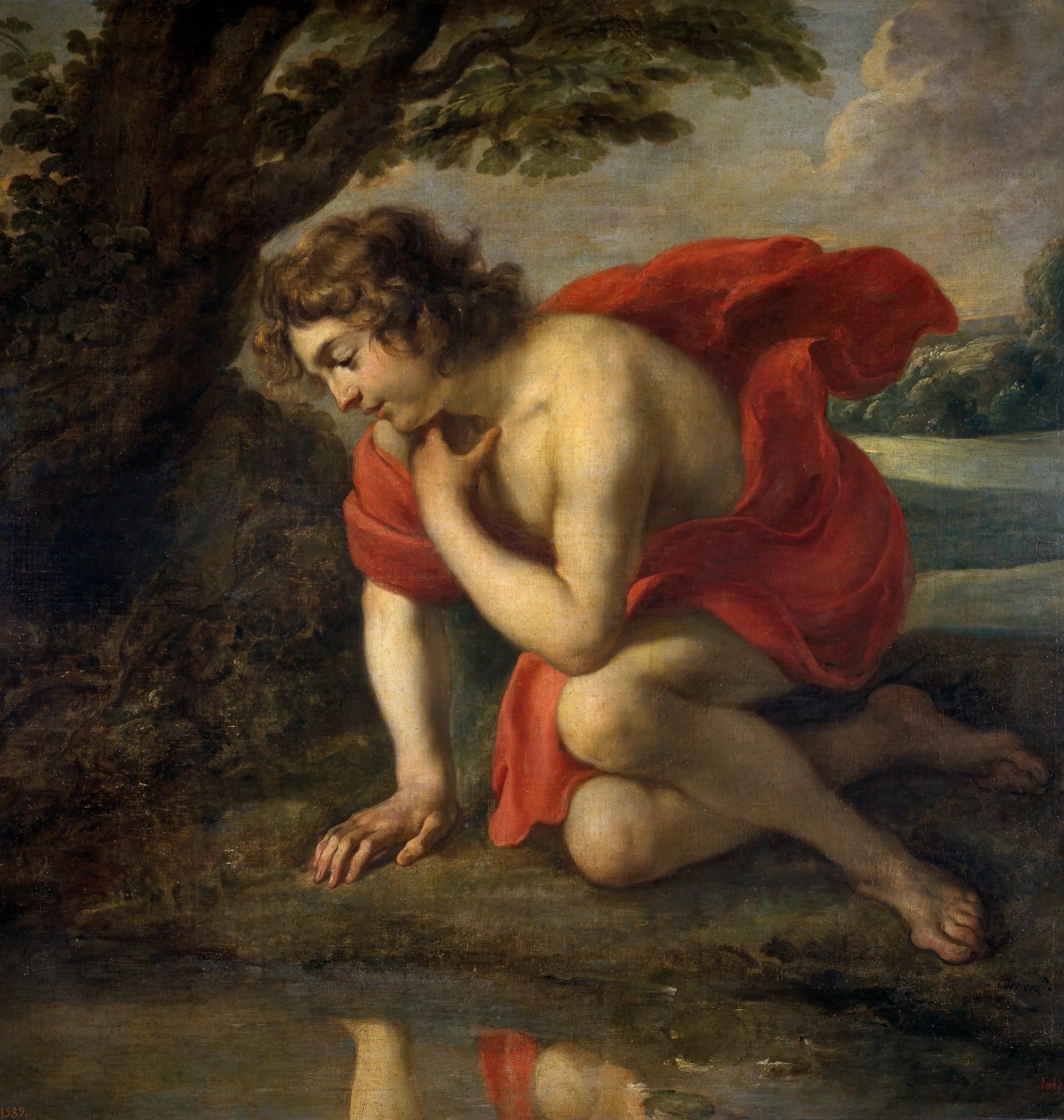 Narcisse