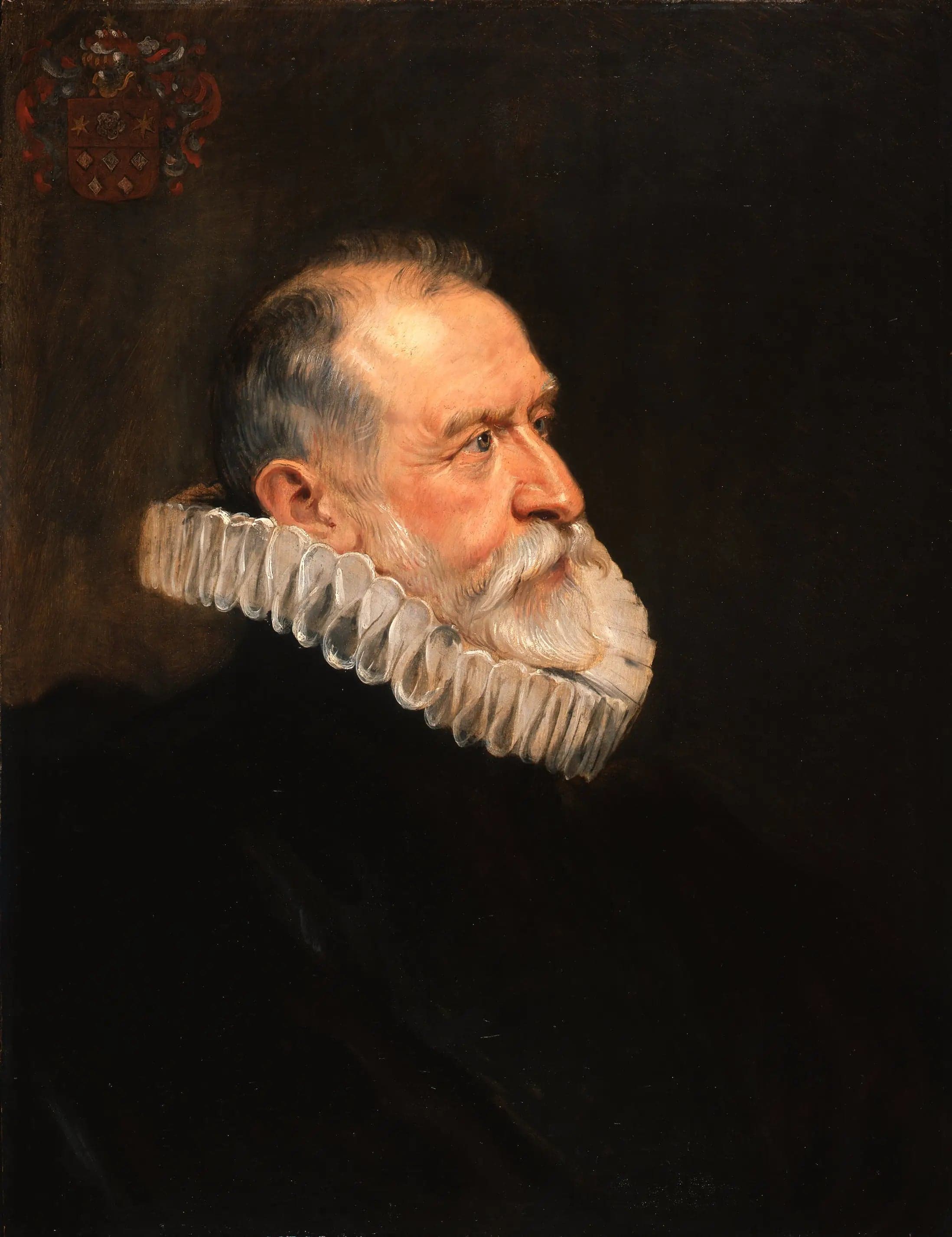 Portrait of an Old Man