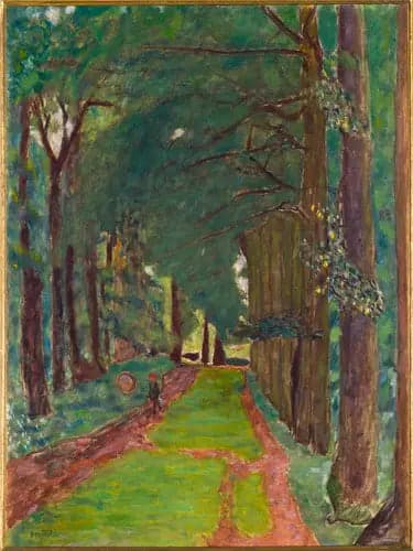 The Tree-Lined Path