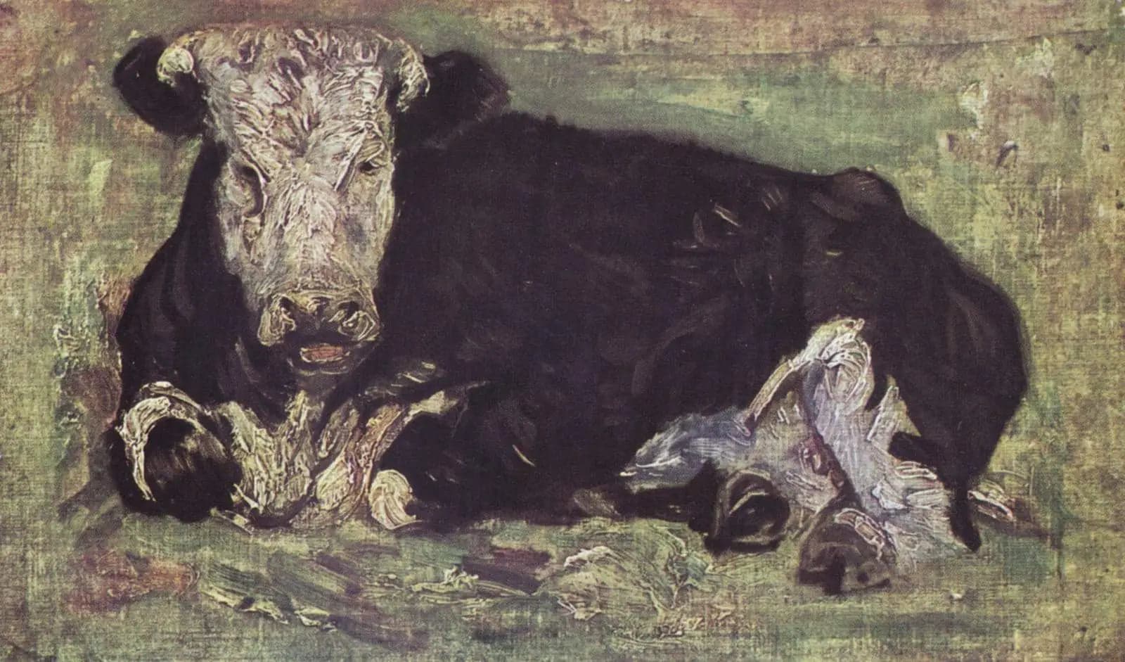 Reclining Cow