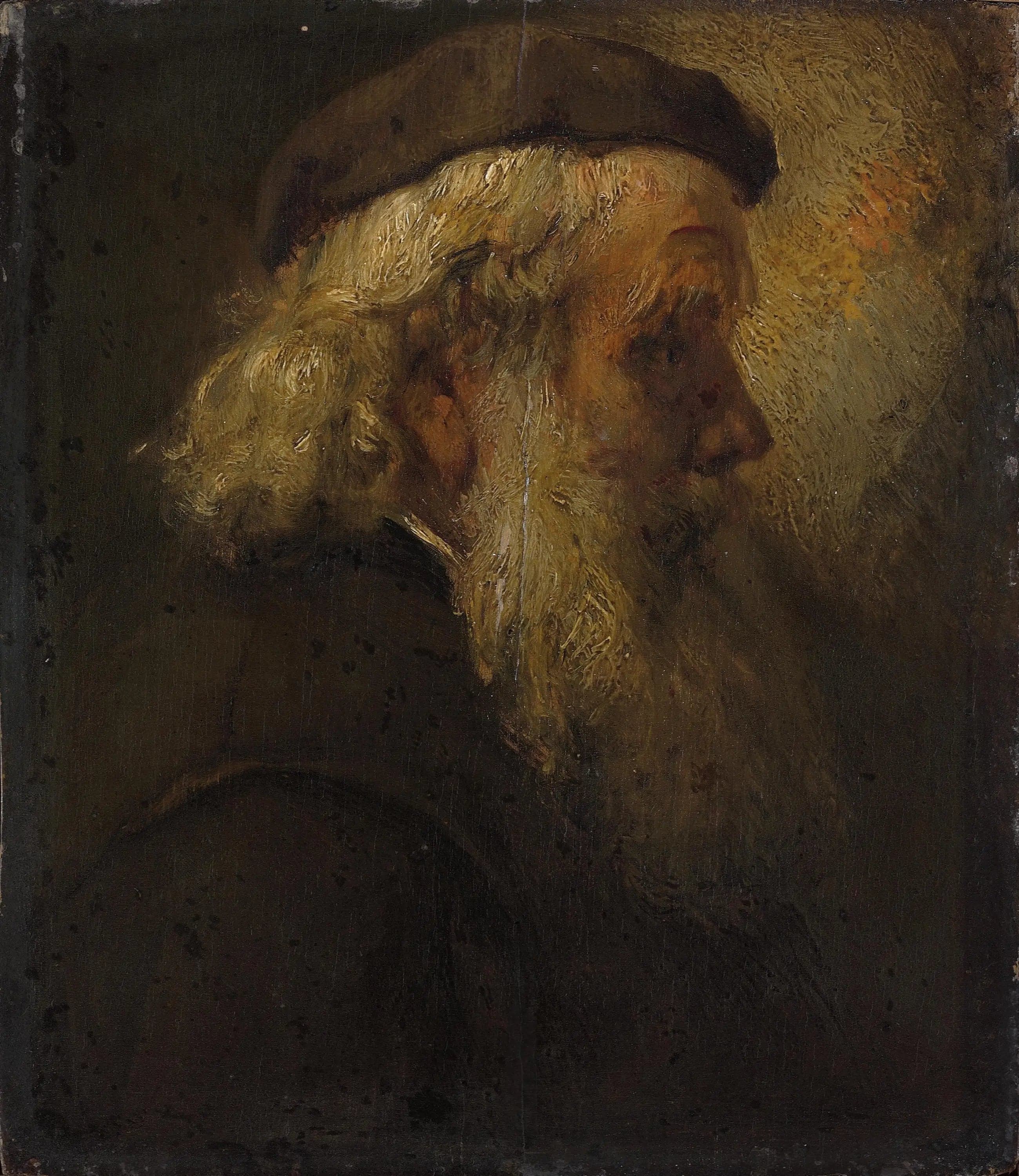 Head of an old bearded man in a beret, side view