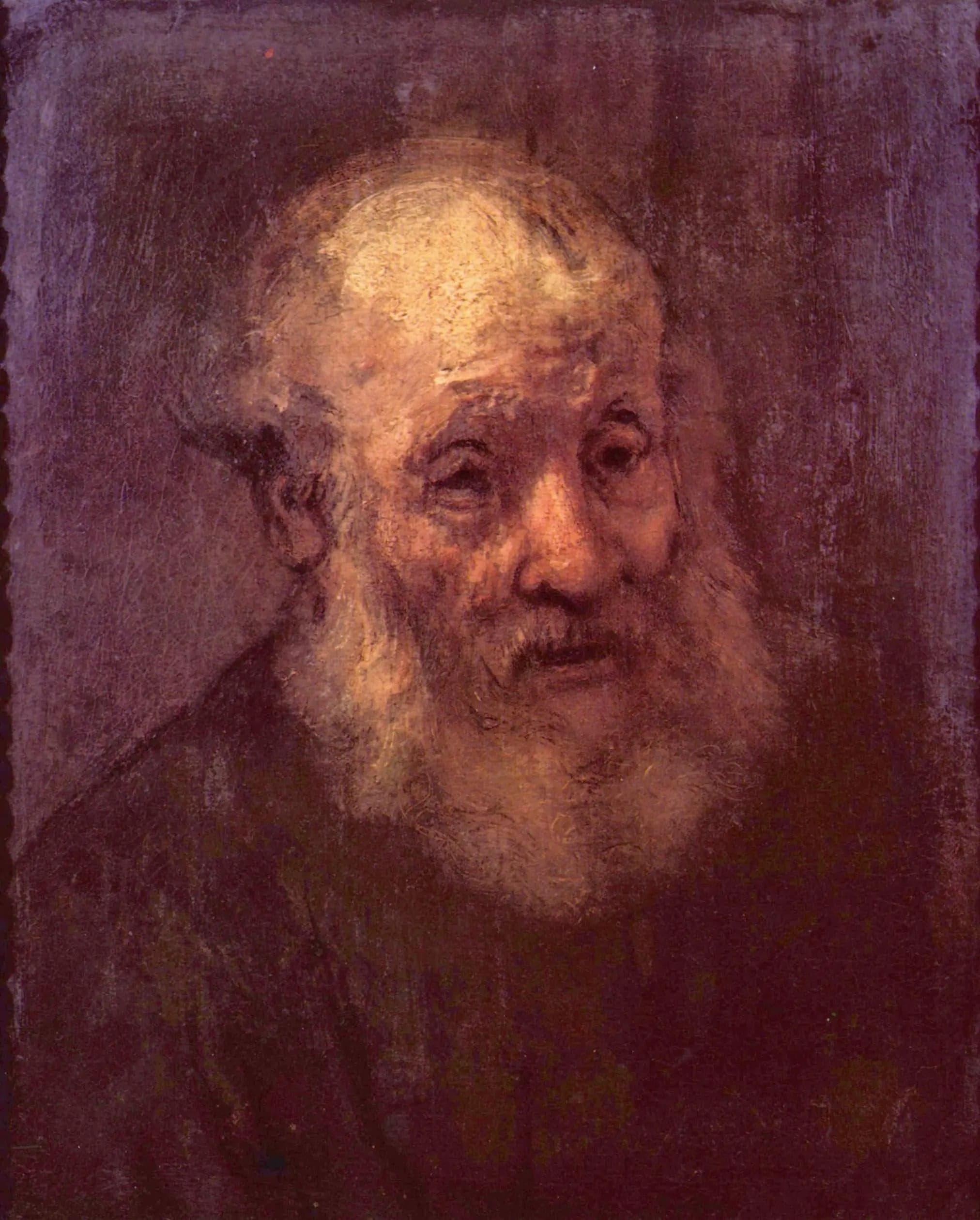 Portrait of an Old Bearded Man