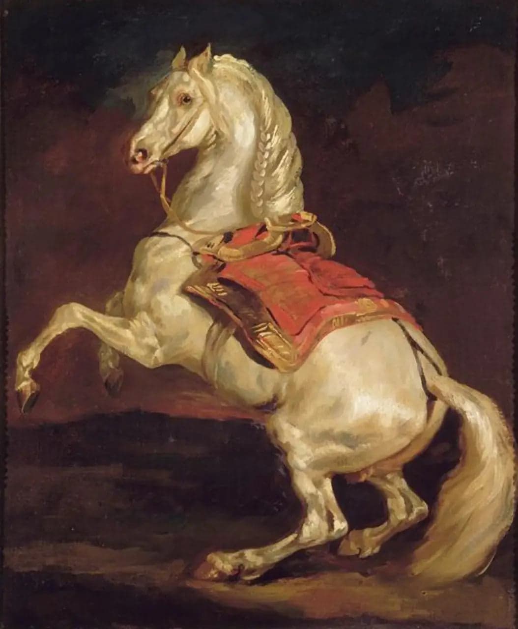 Horse rearing on a red saddle cloth