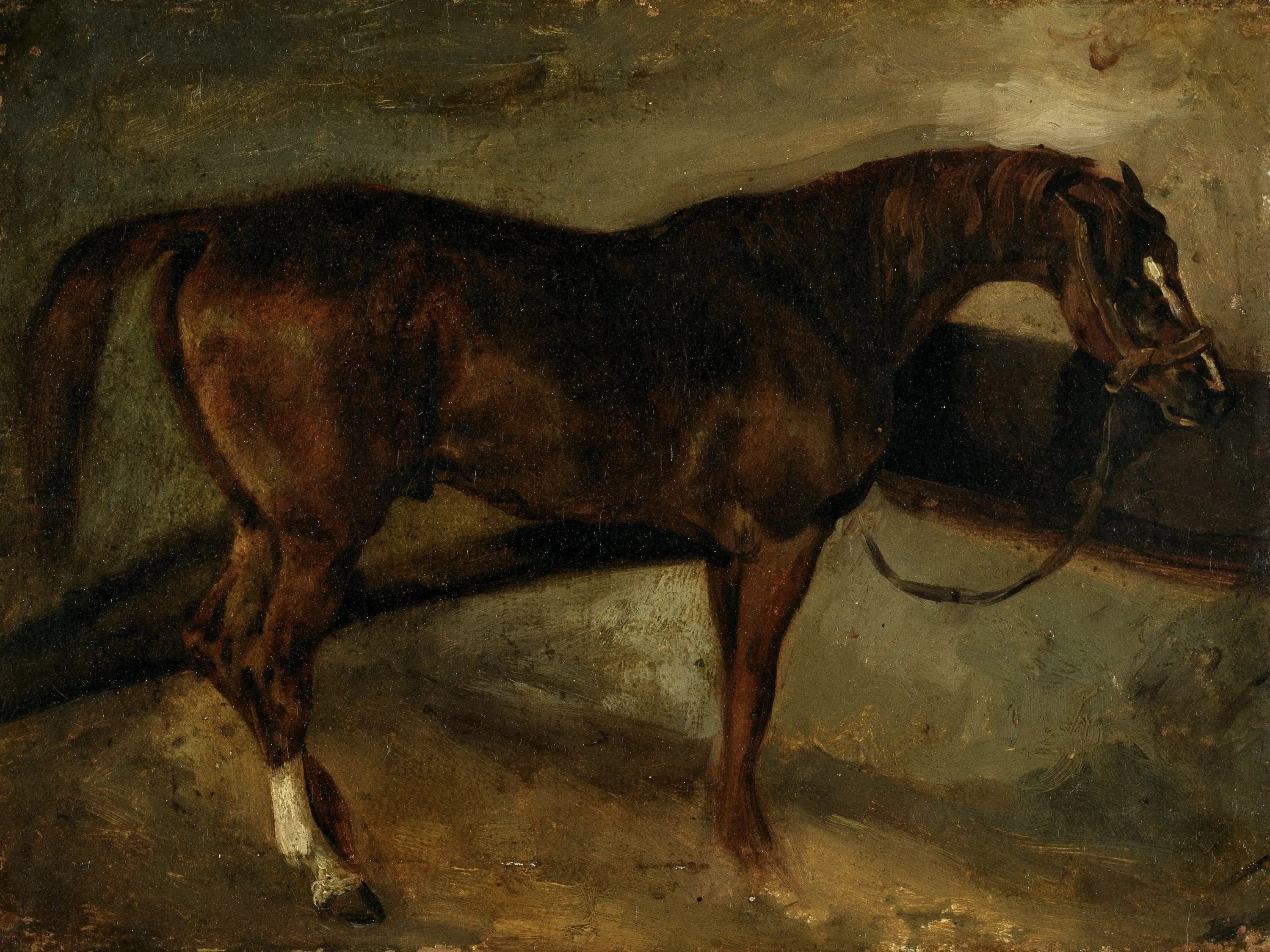 The Brown Horse