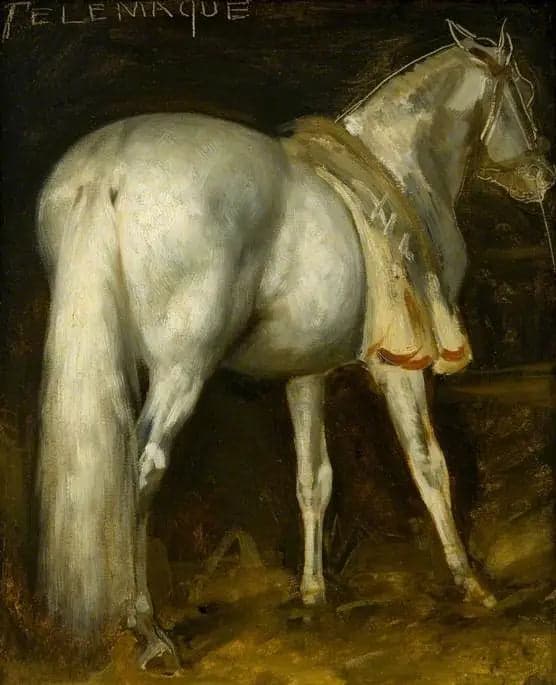 The Gray Horse "Telemachus"