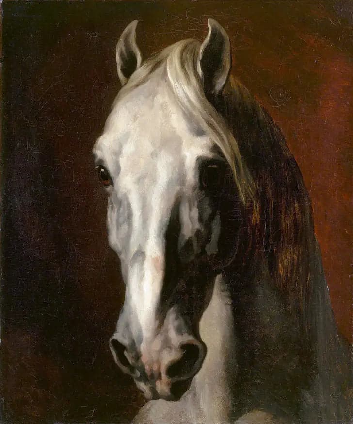 White Horse Head