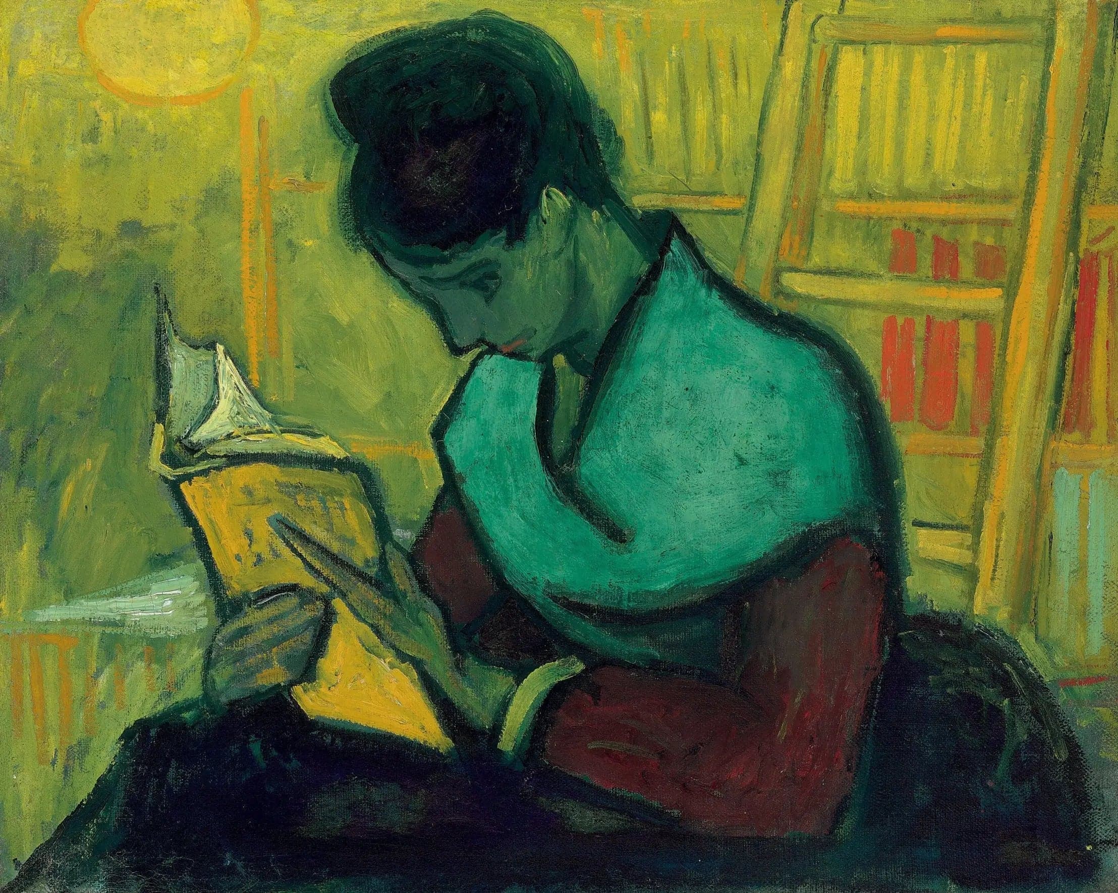 A novel reader