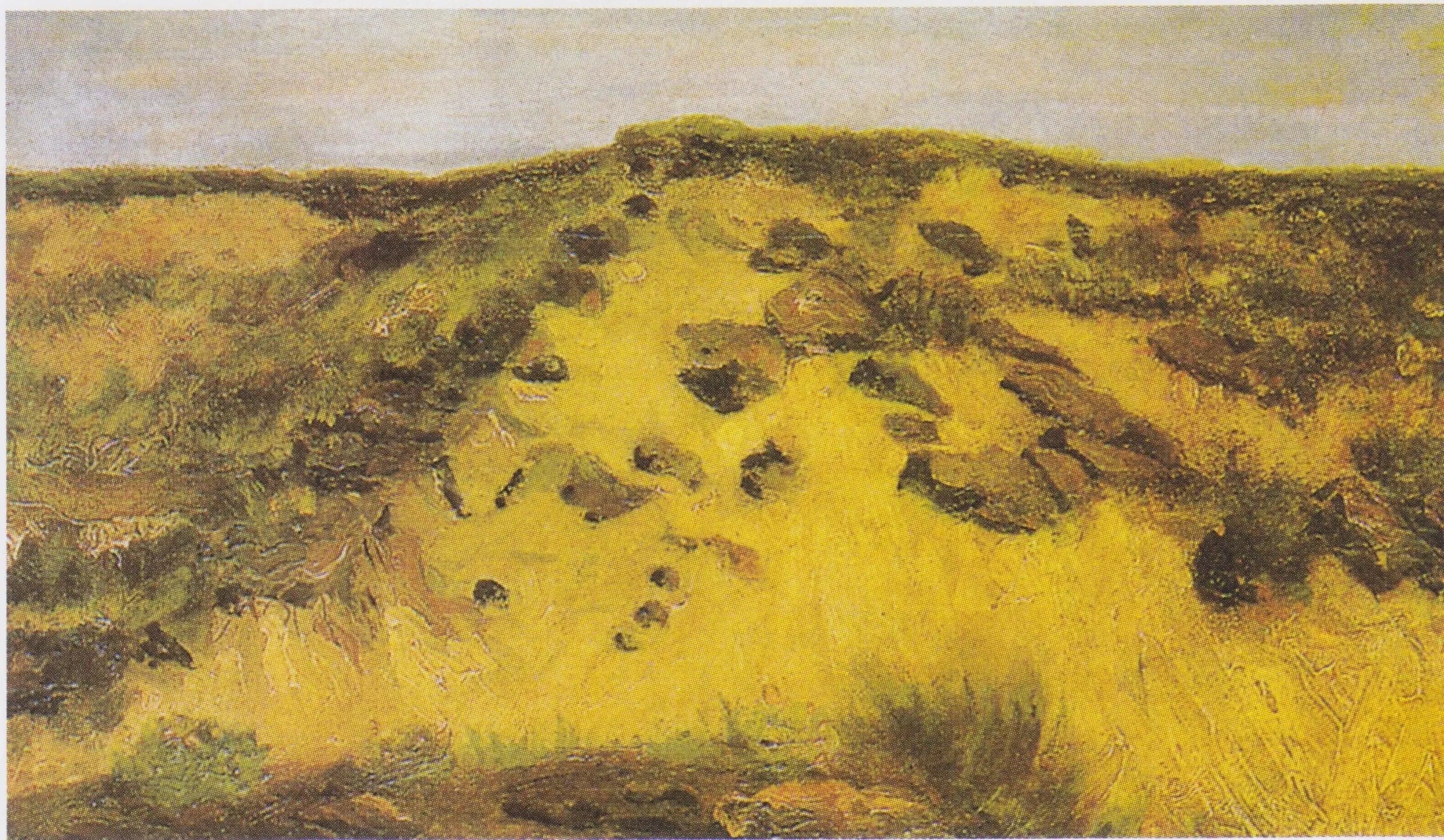 Landscape with Dune
