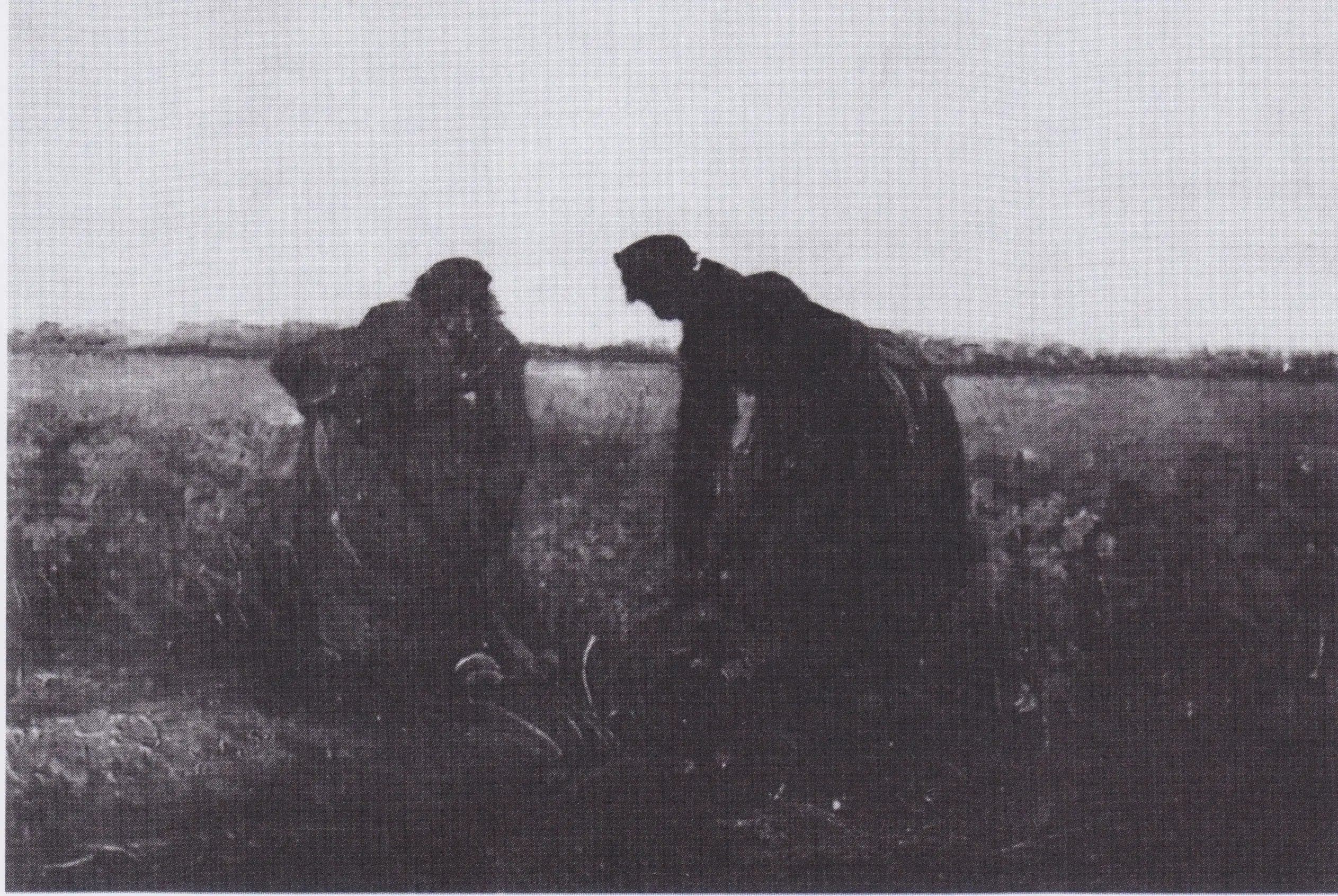 Two Peasant Women Digging