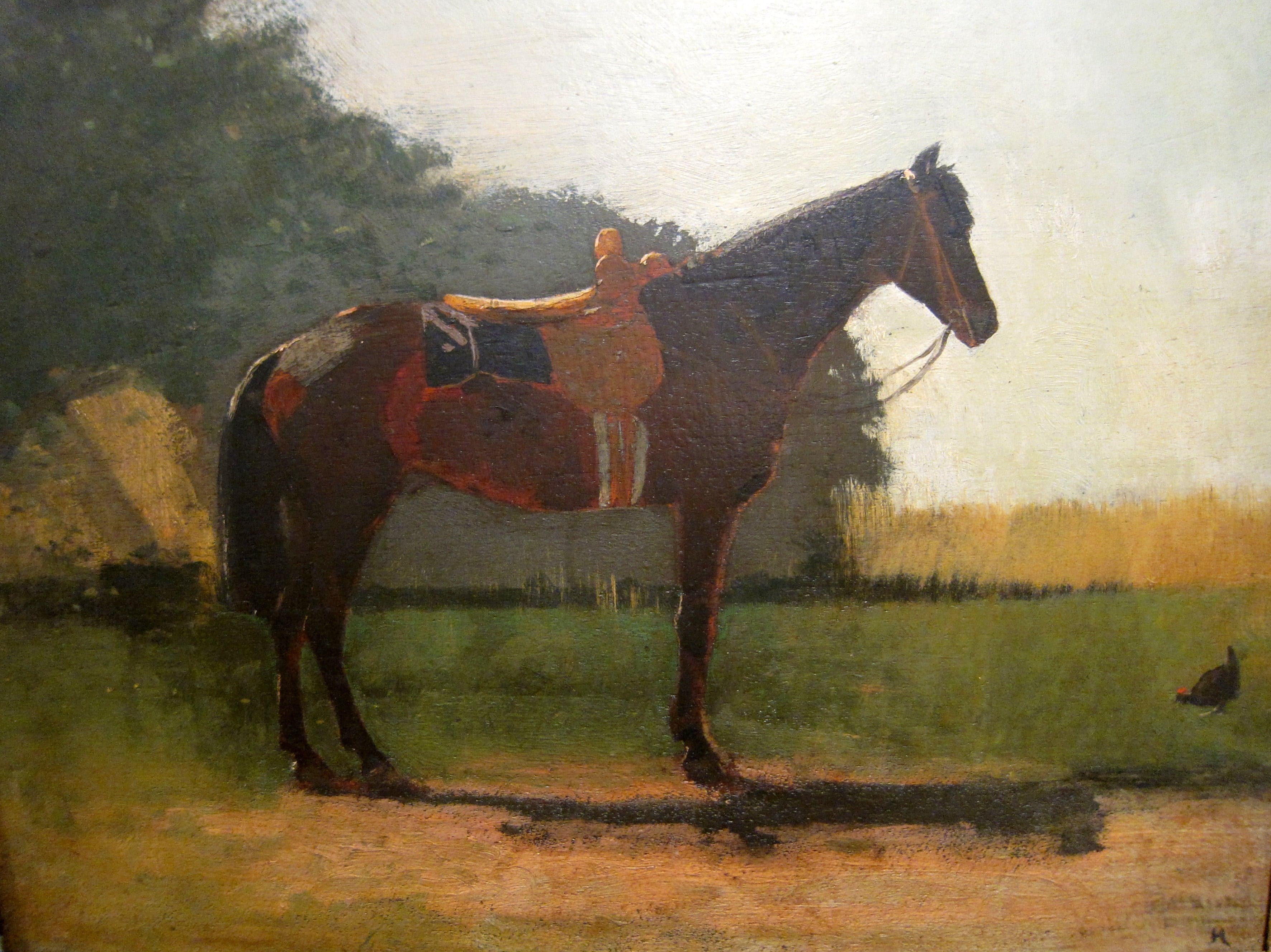 Cheval de selle dans la cour de la ferme